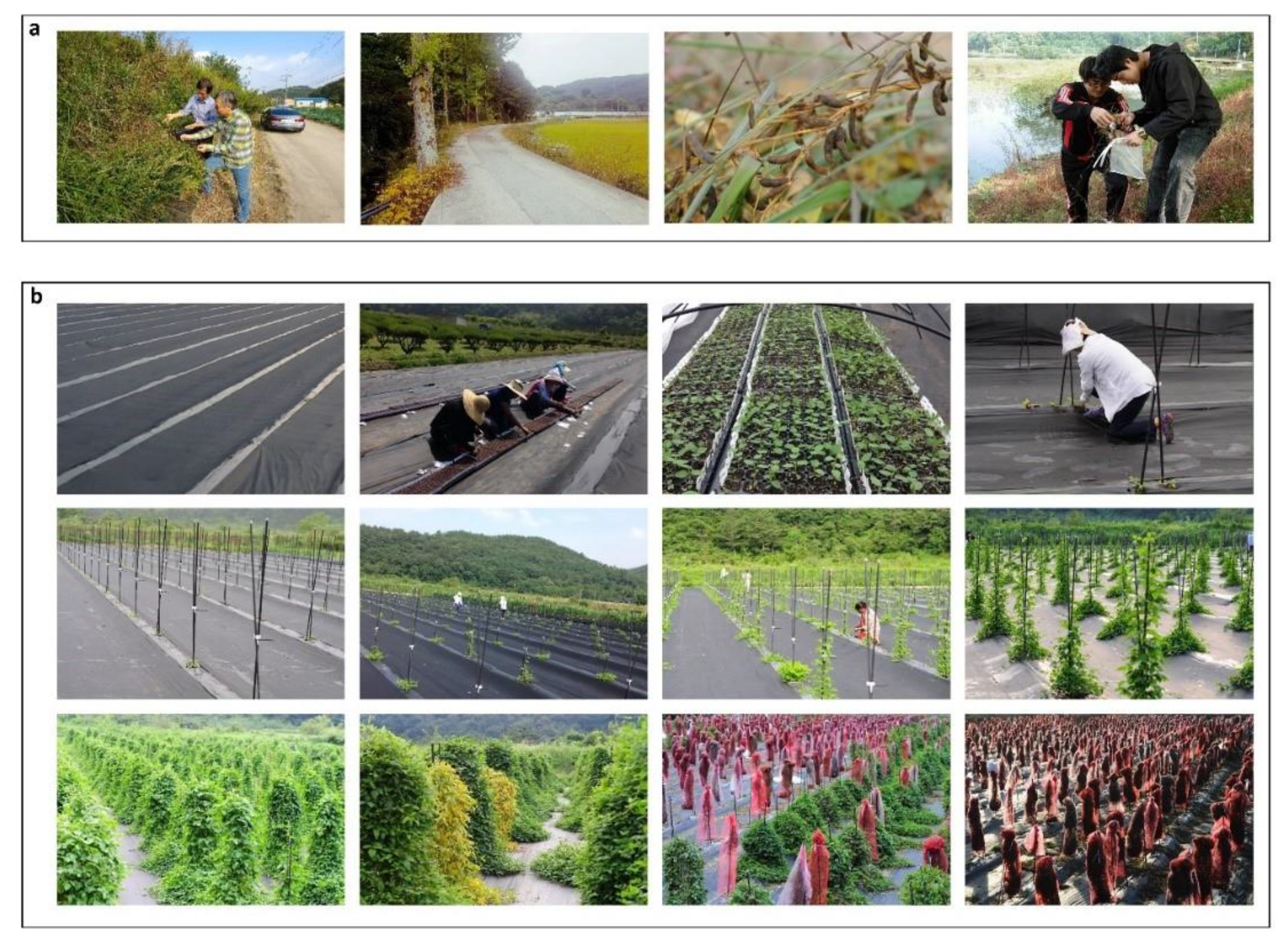 Agronomy 10 00214 g002