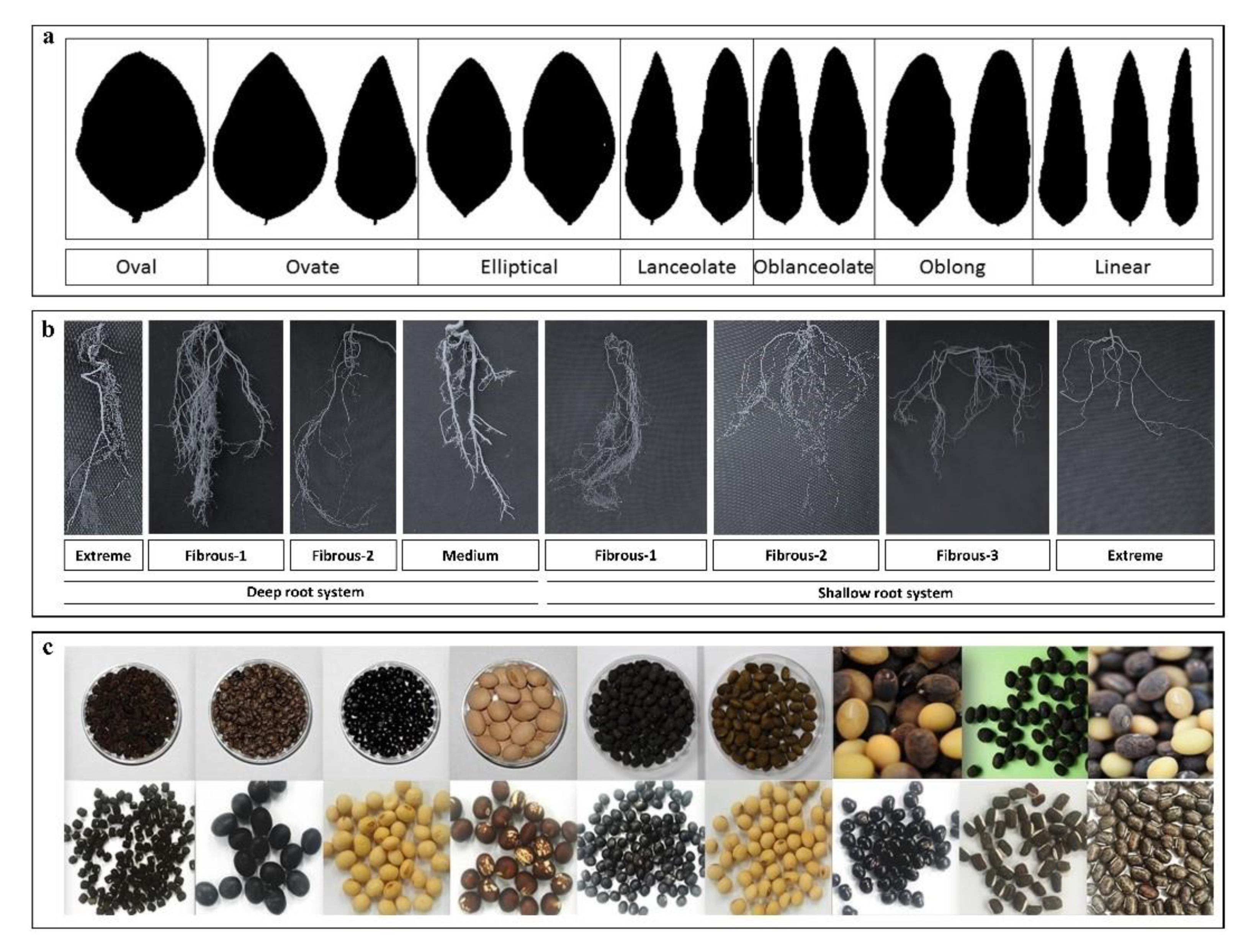 Agronomy 10 00214 g003