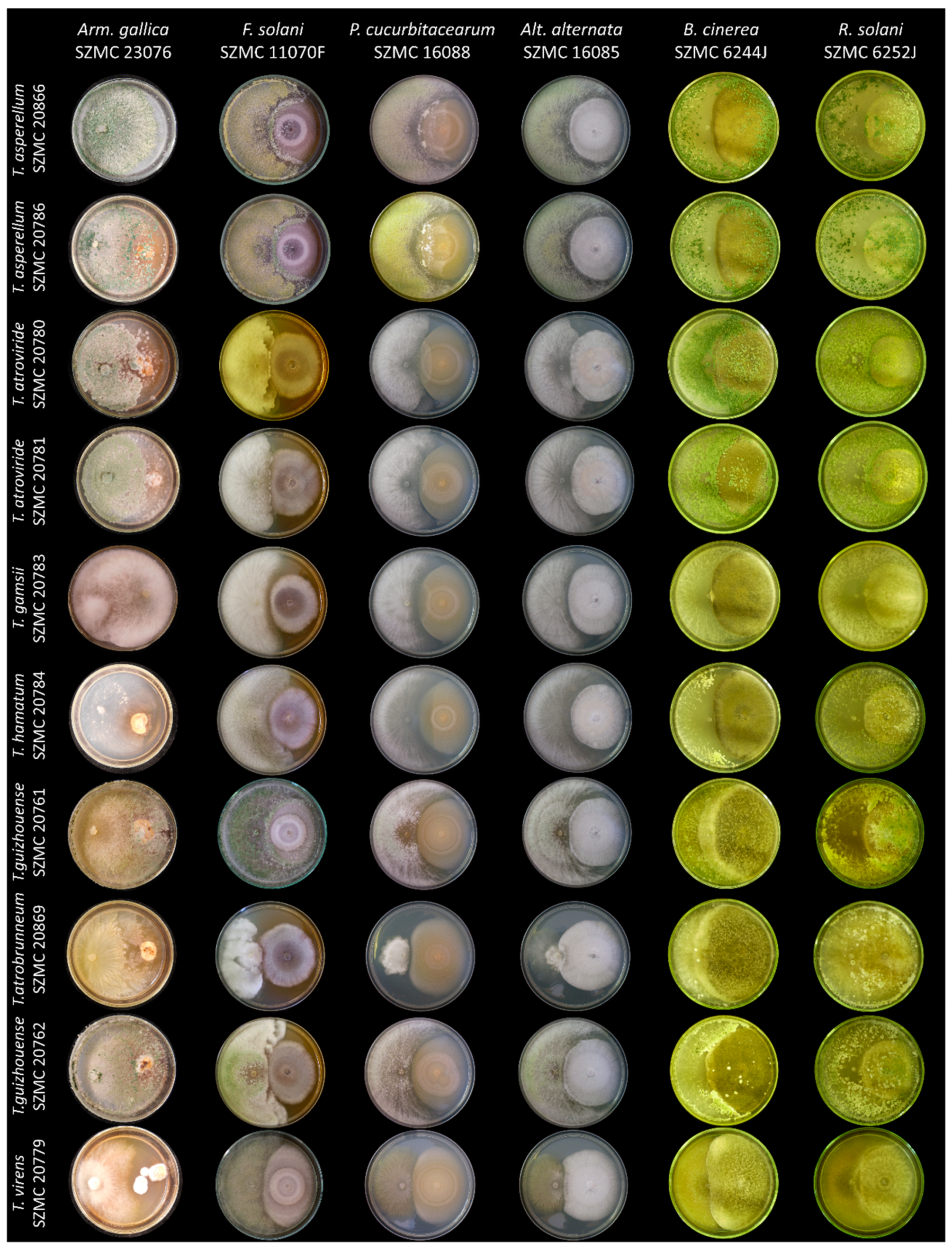 Agronomy 10 00220 g001 Agronomy 10 00220 g001