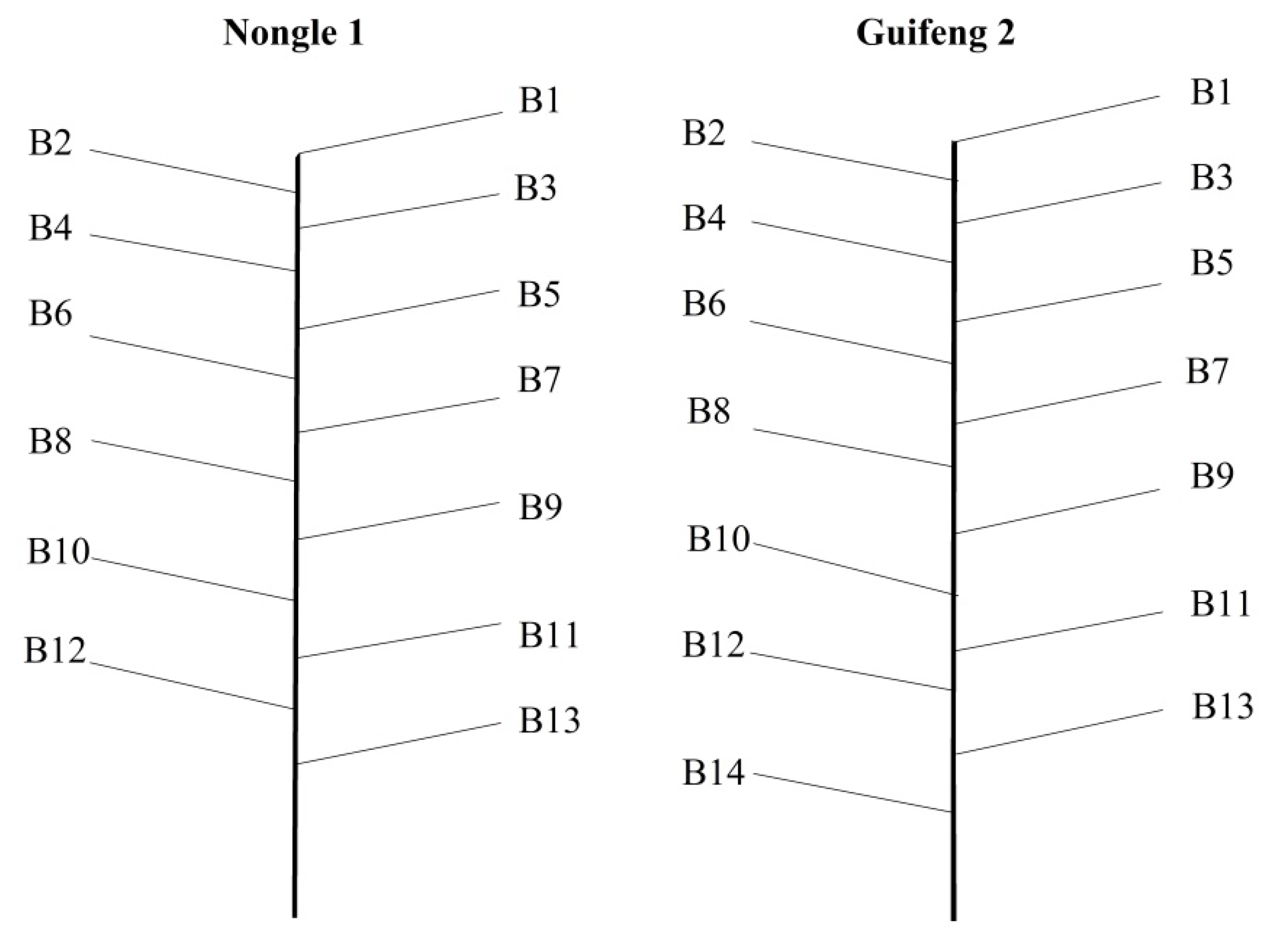 Agronomy 10 00223 g002