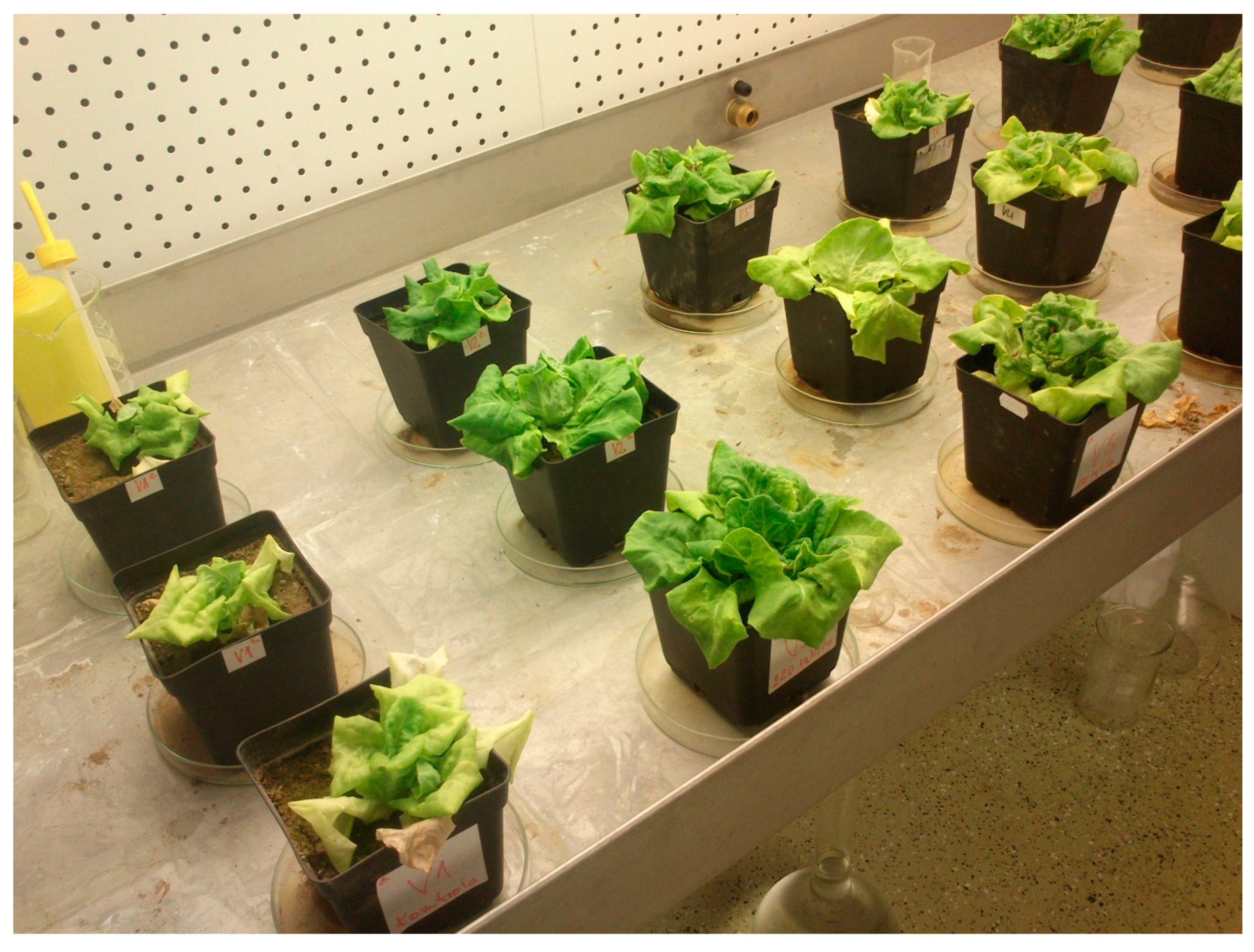 Agronomy 10 00226 g001 Agronomy 10 00226 g001