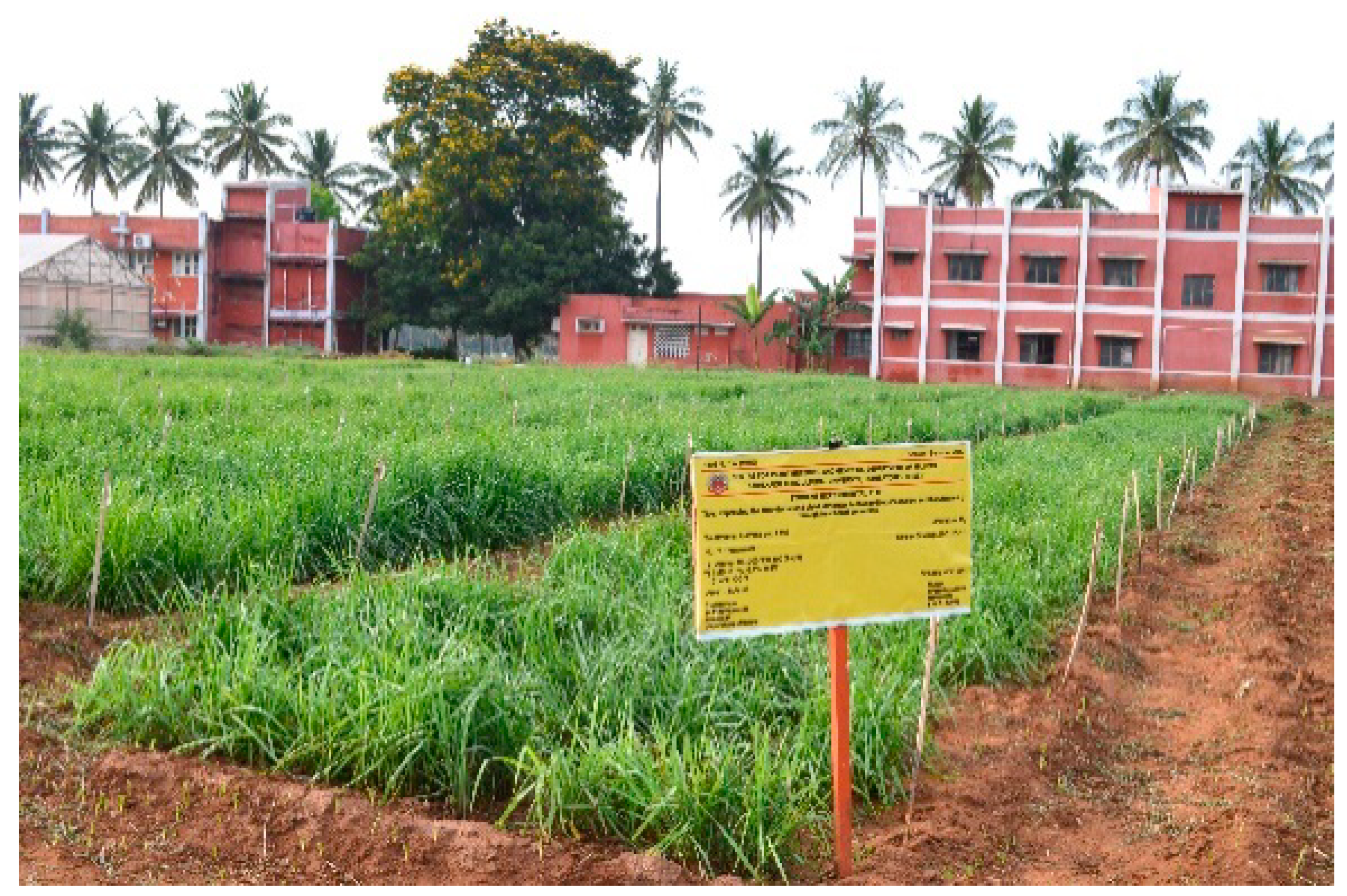 Agronomy 10 00227 g001