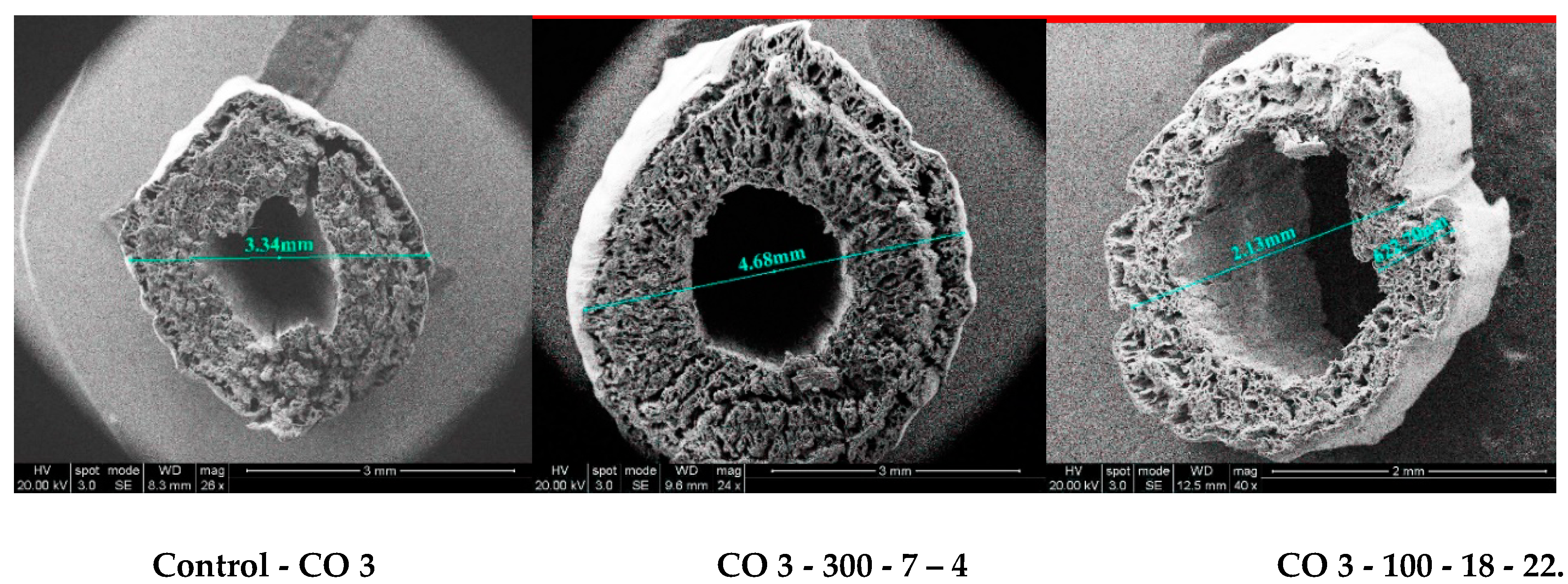 Agronomy 10 00227 g004