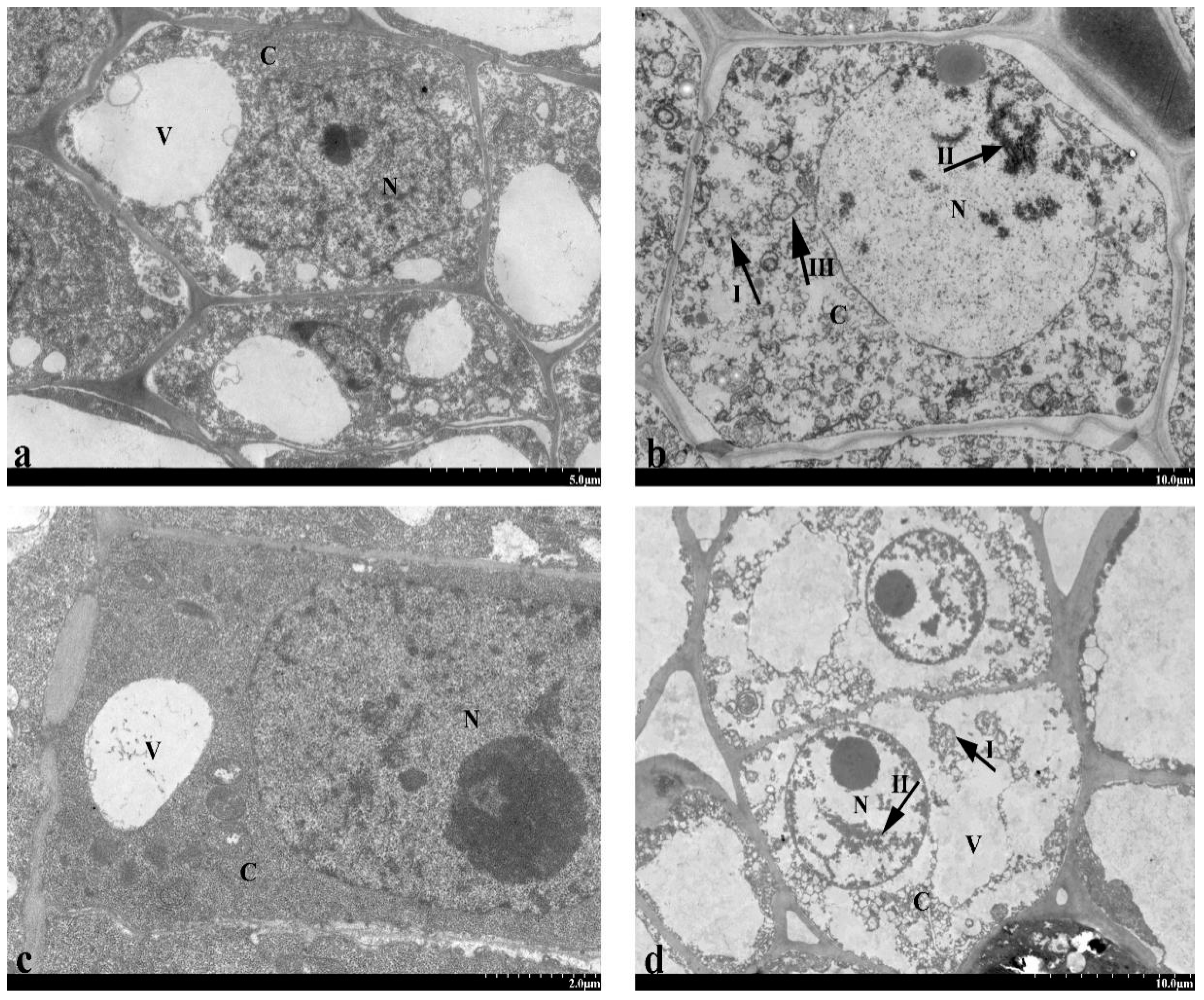 Agronomy 10 00234 g009
