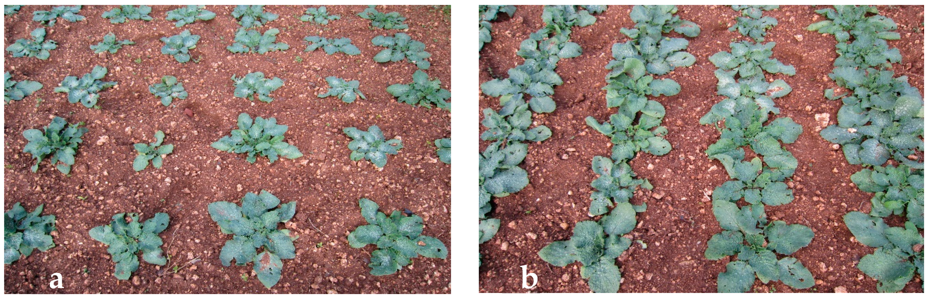 Agronomy 10 00242 g002 Agronomy 10 00242 g002