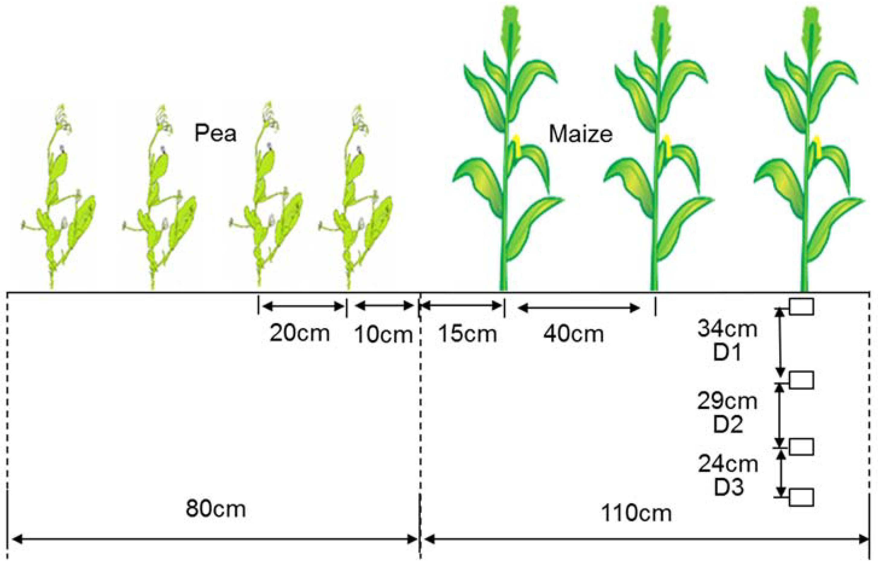 Agronomy 10 00248 g001 Agronomy 10 00248 g001