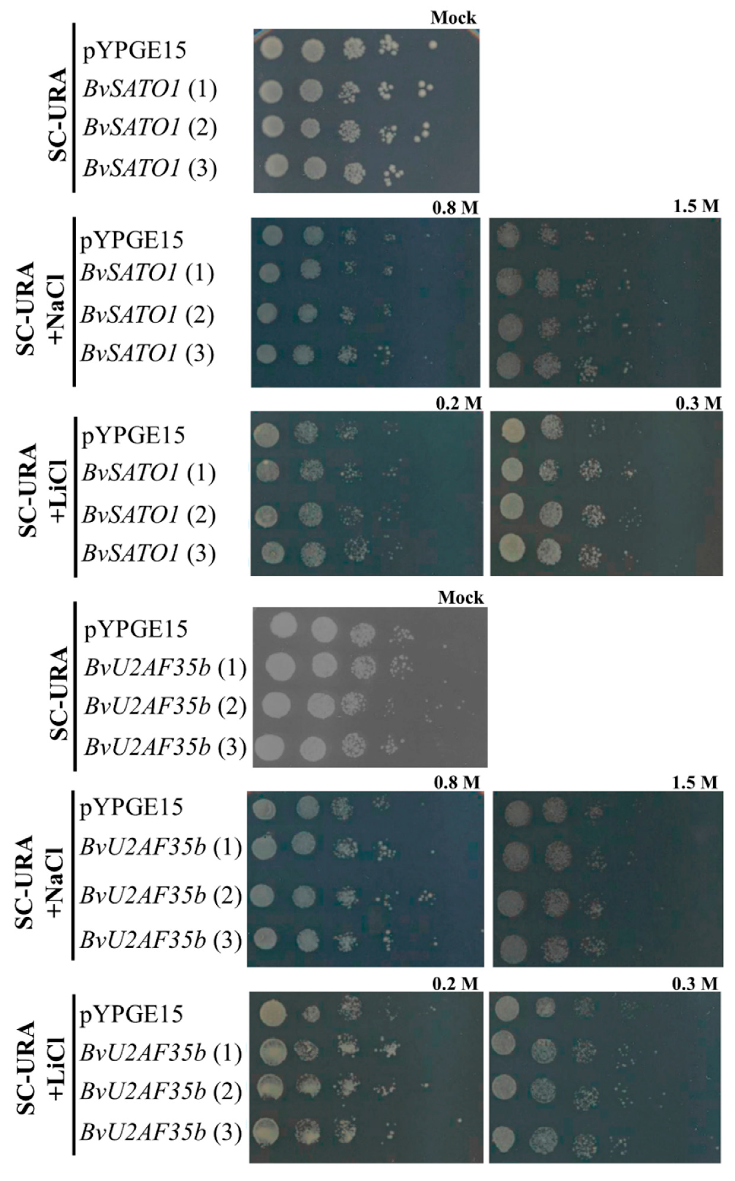 Agronomy 10 00250 g002