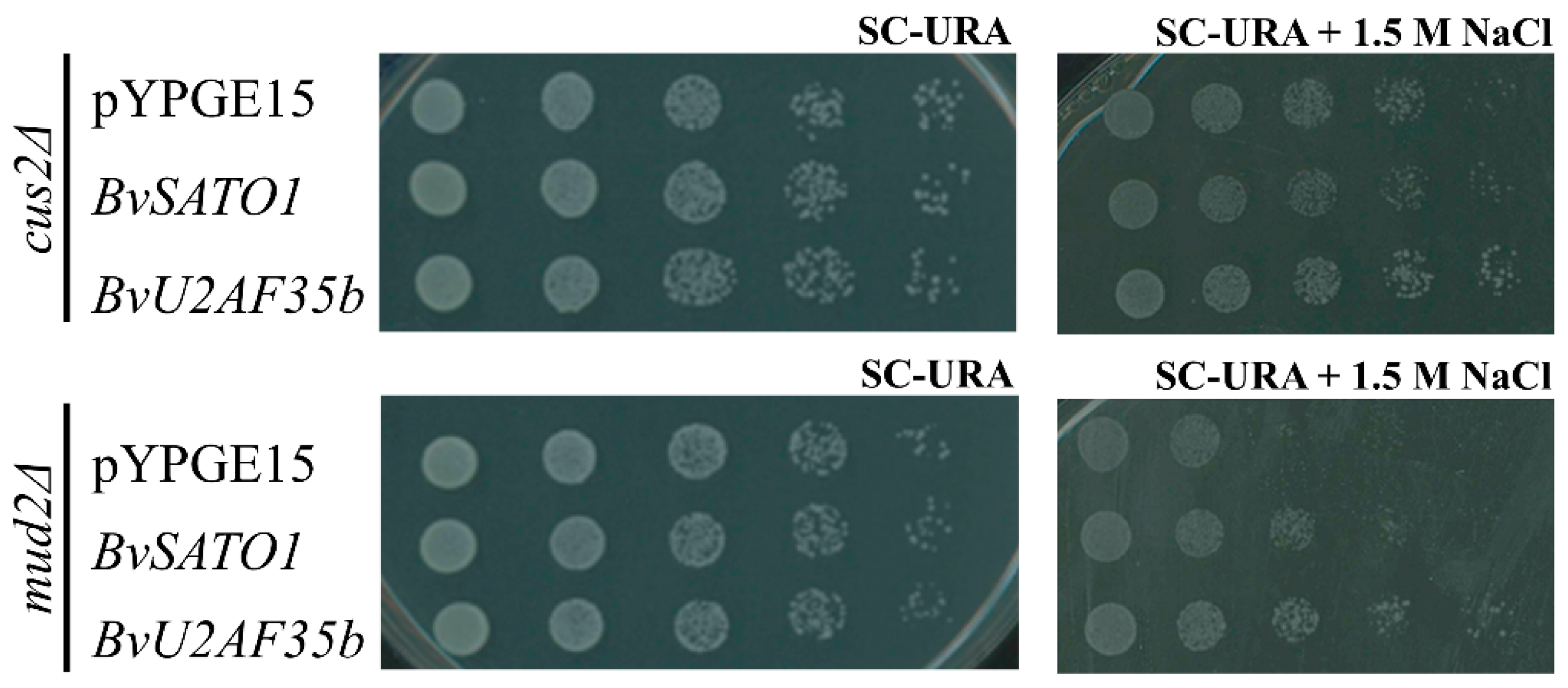 Agronomy 10 00250 g003