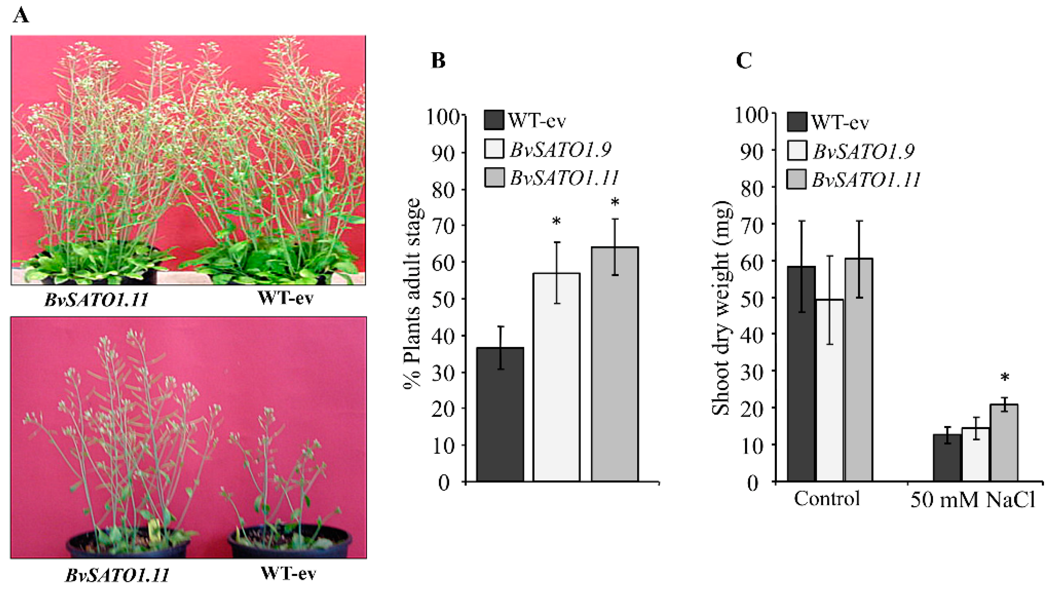 Agronomy 10 00250 g008