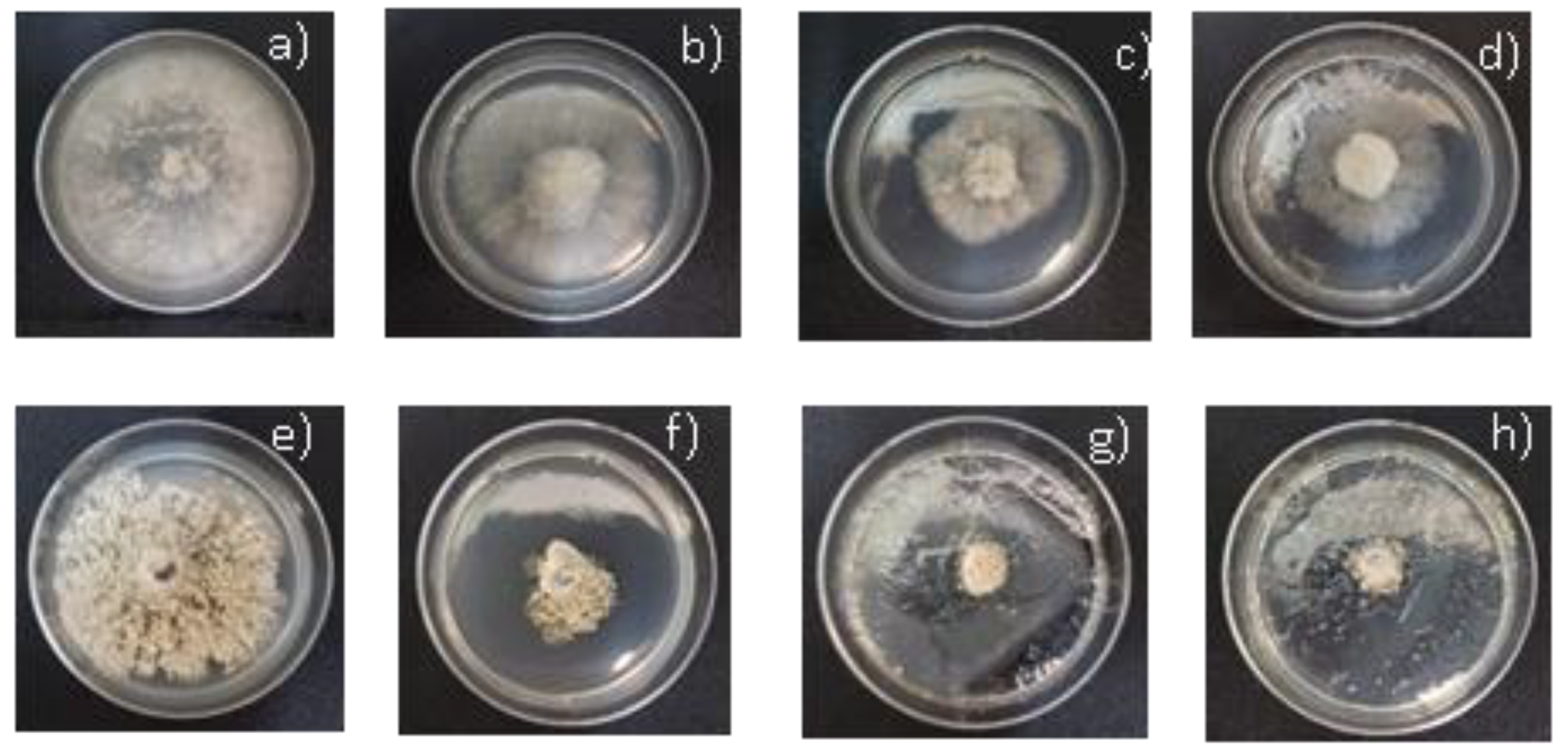 Agronomy 10 00254 g002