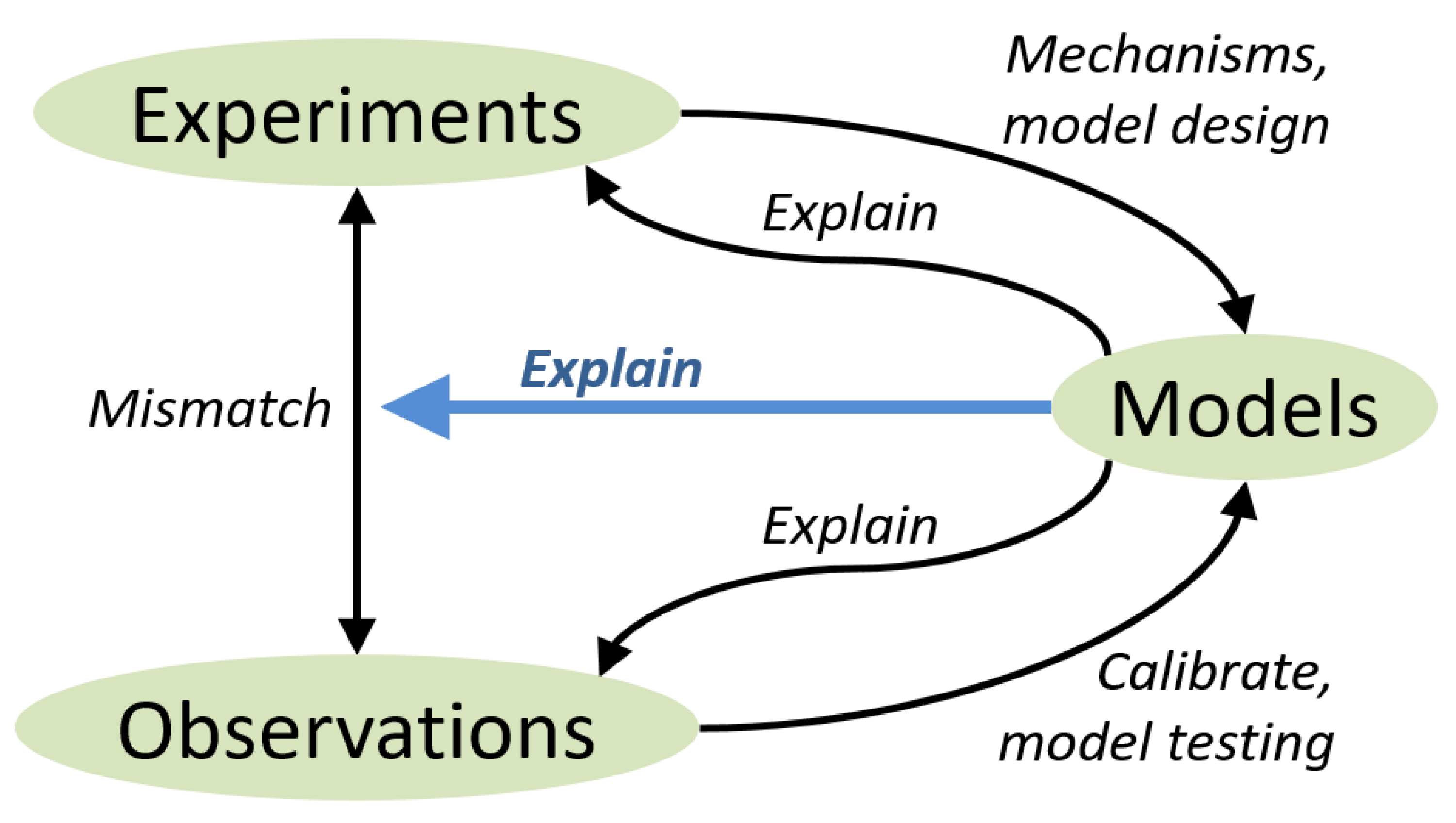 Agronomy 10 00259 g004 Agronomy 10 00259 g004