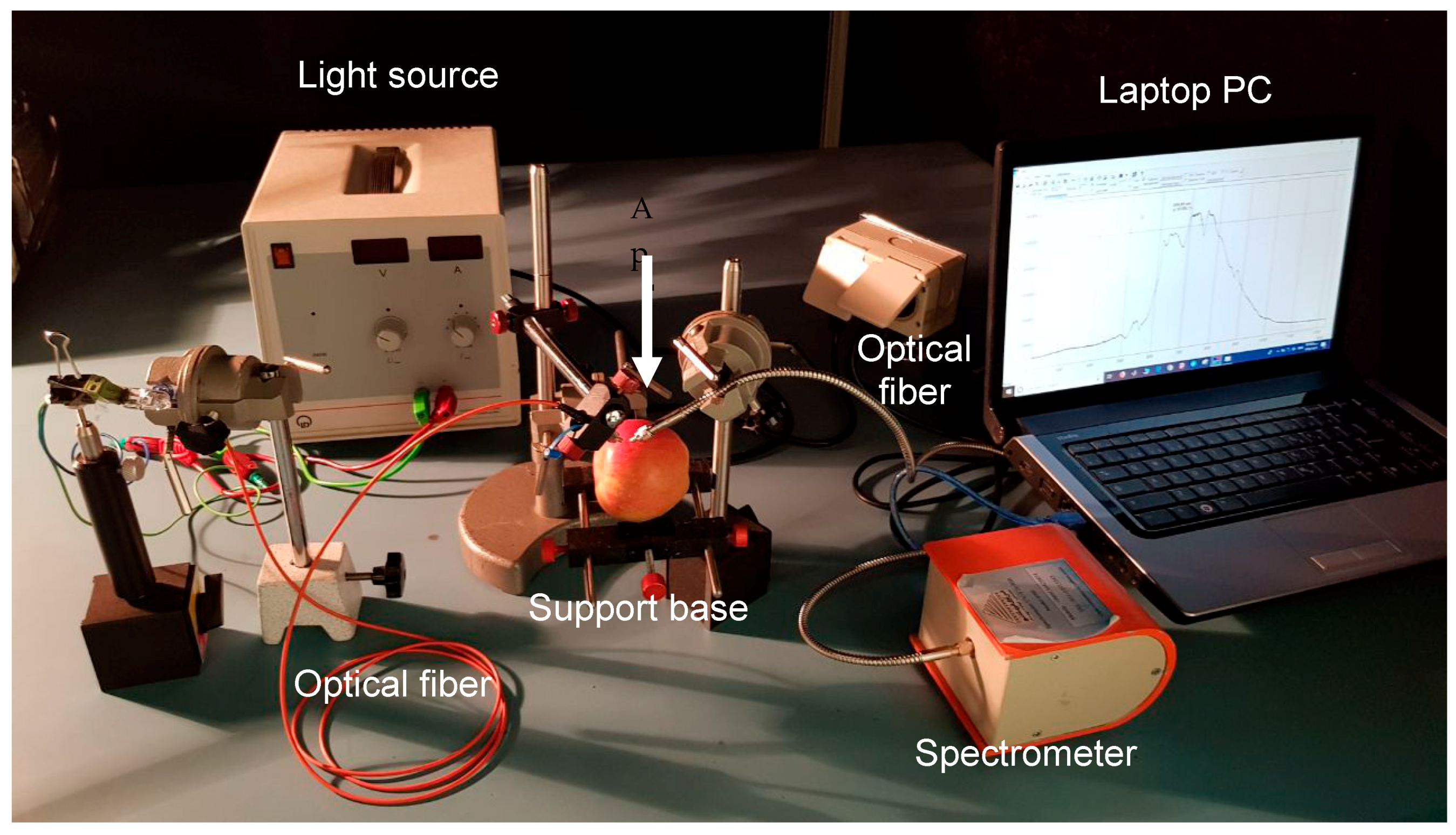 Agronomy 10 00267 g001