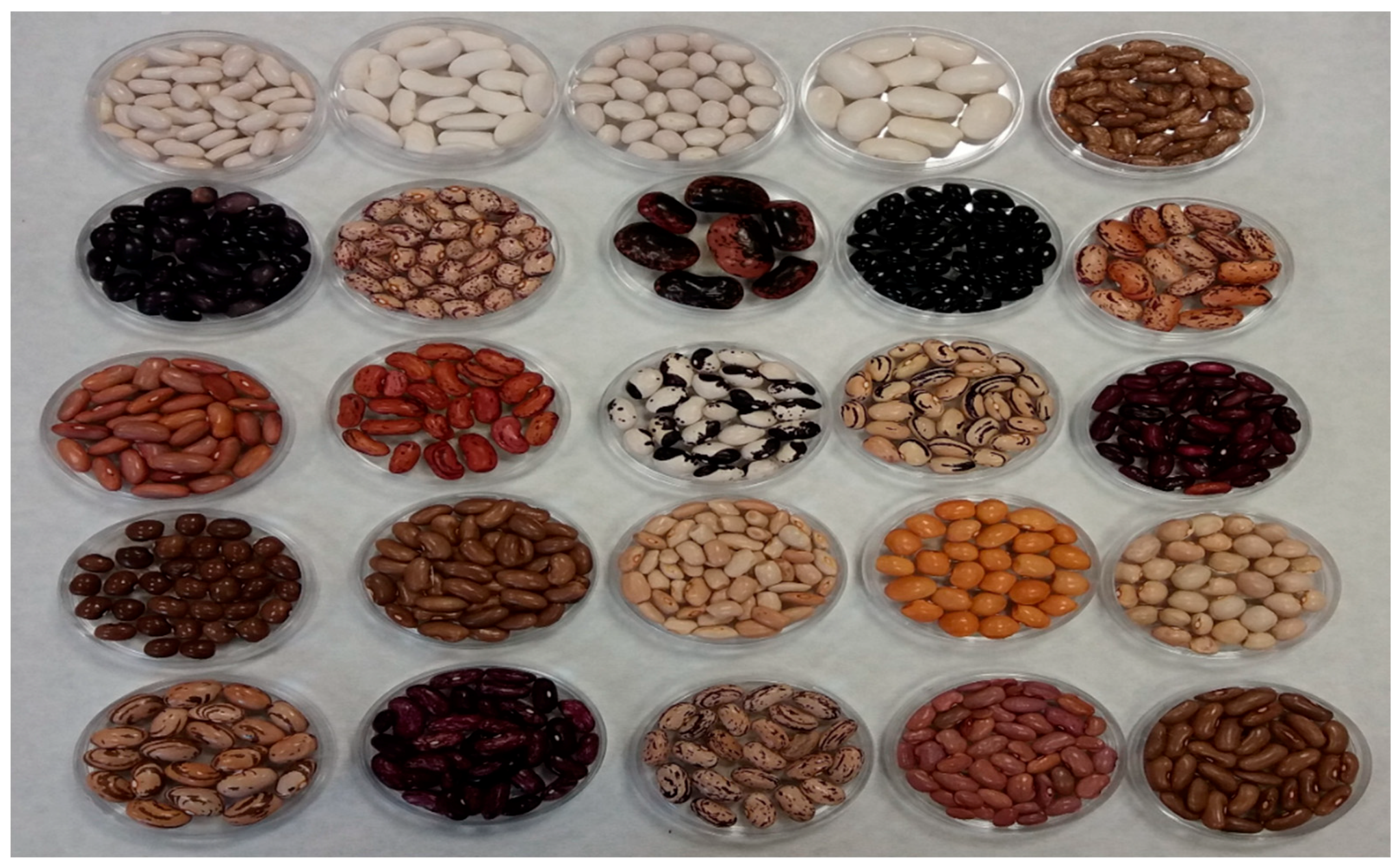 Agronomy Free Full Text Phenotypic Characterization Of 183 Turkish Common Bean Accessions For Agronomic Trading And Consumer Preferred Plant Characteristics For Breeding Purposes Html