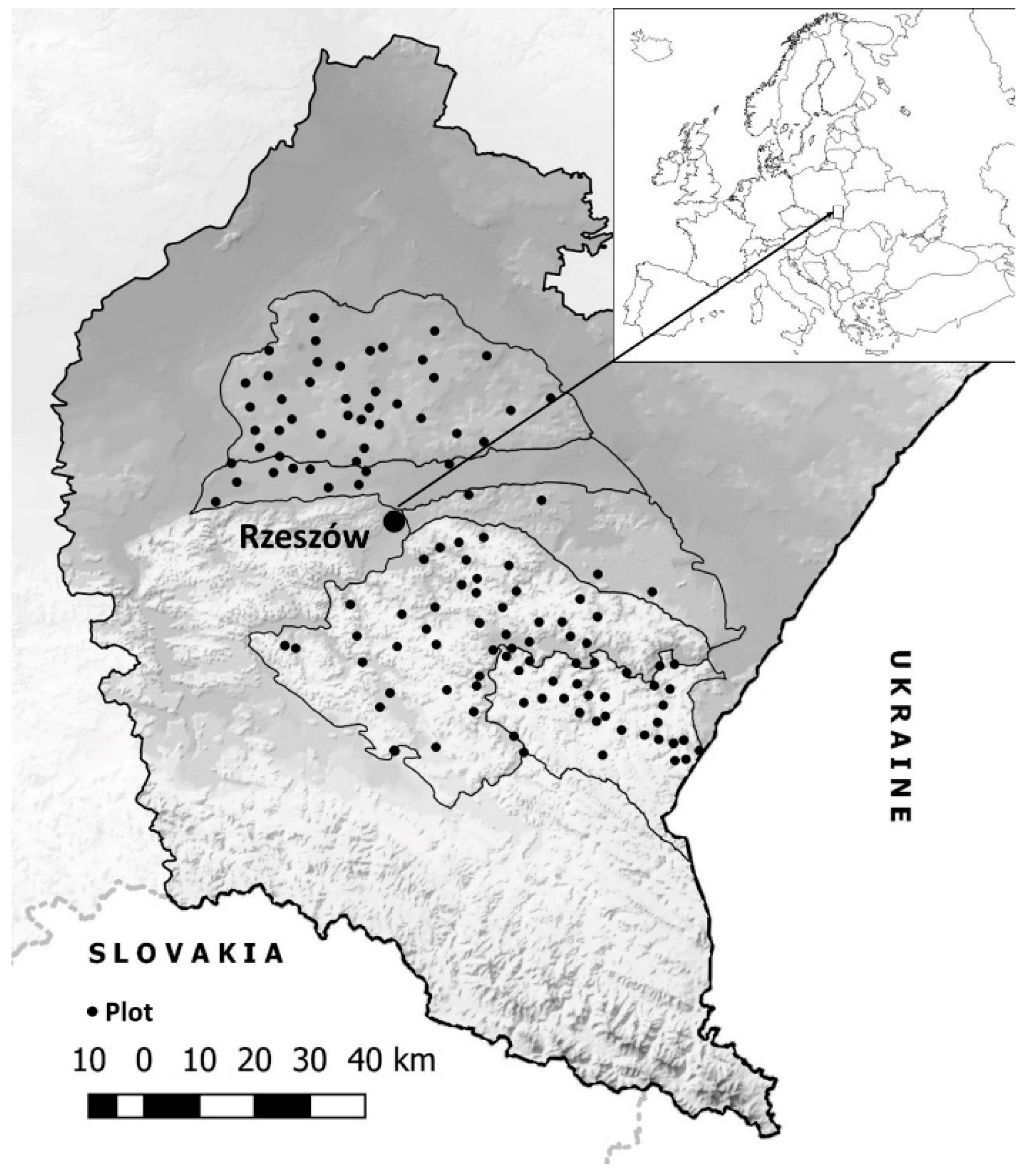 Agronomy 10 00273 g001 Agronomy 10 00273 g001