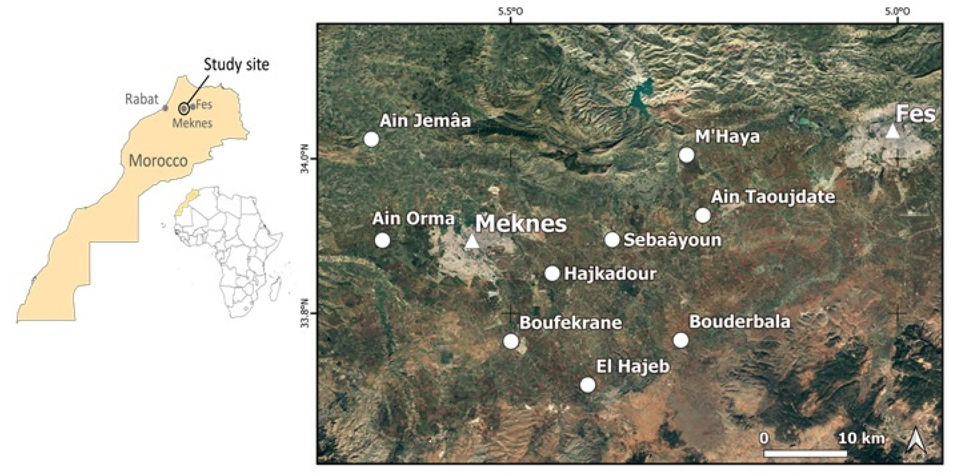 Agronomy 10 00280 g001 Agronomy 10 00280 g001