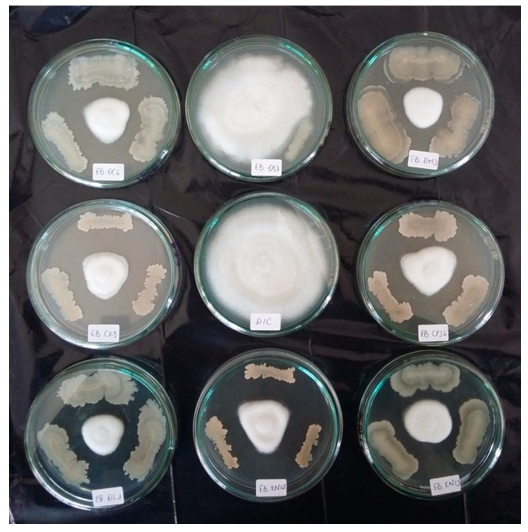 Agronomy 10 00286 g002 Agronomy 10 00286 g002