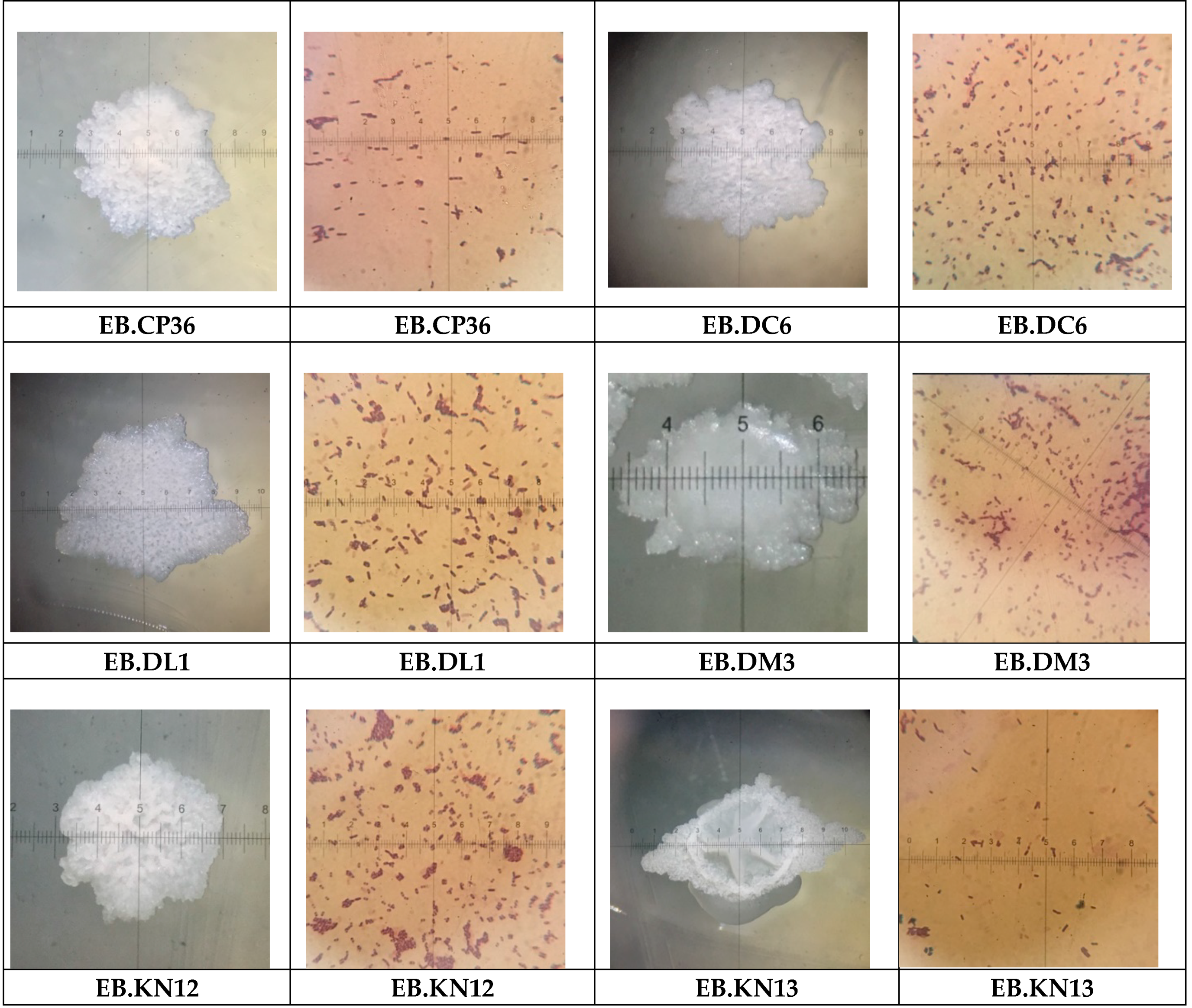Agronomy 10 00286 g004 Agronomy 10 00286 g004