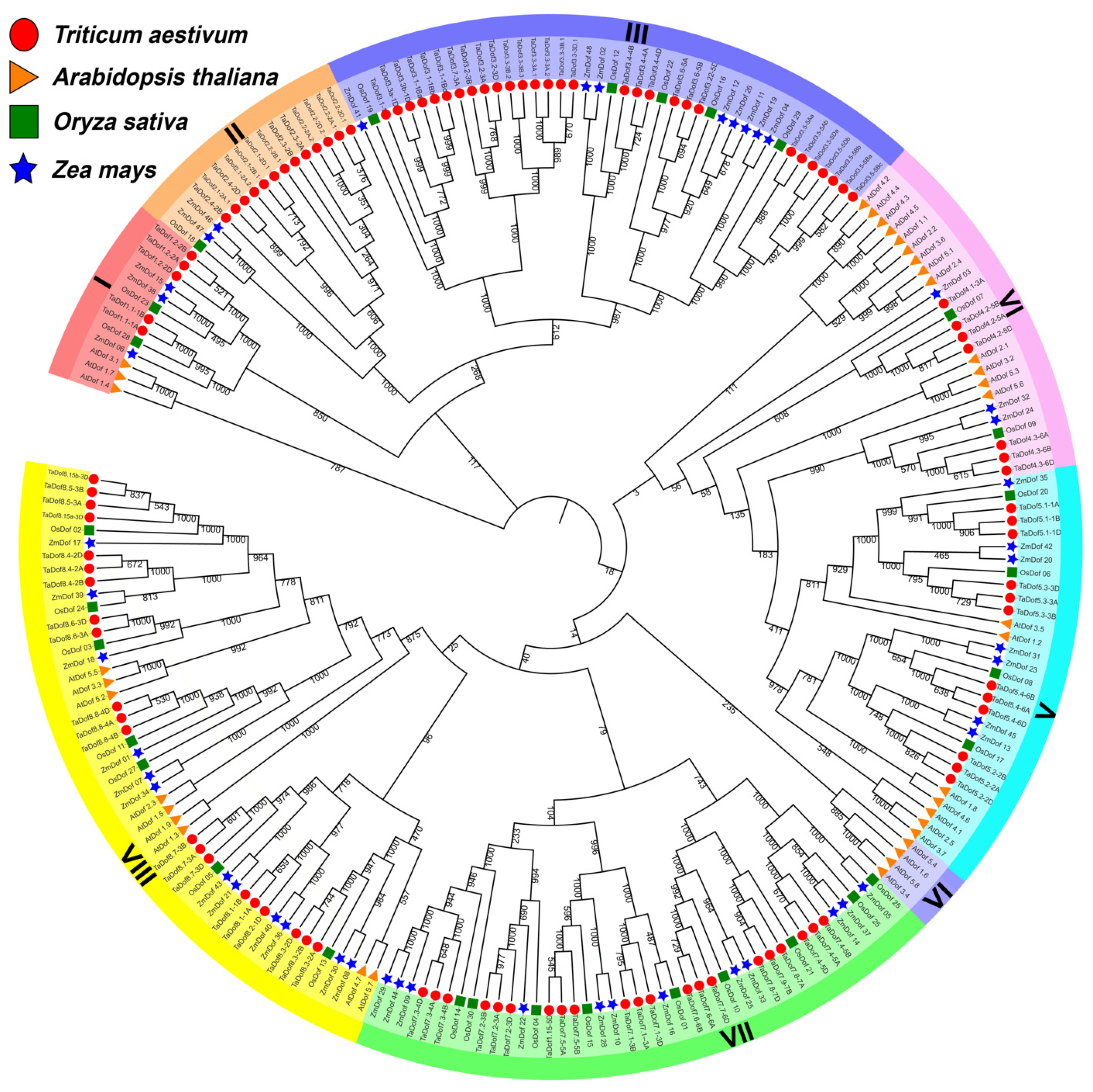 Agronomy 10 00294 g001 Agronomy 10 00294 g001
