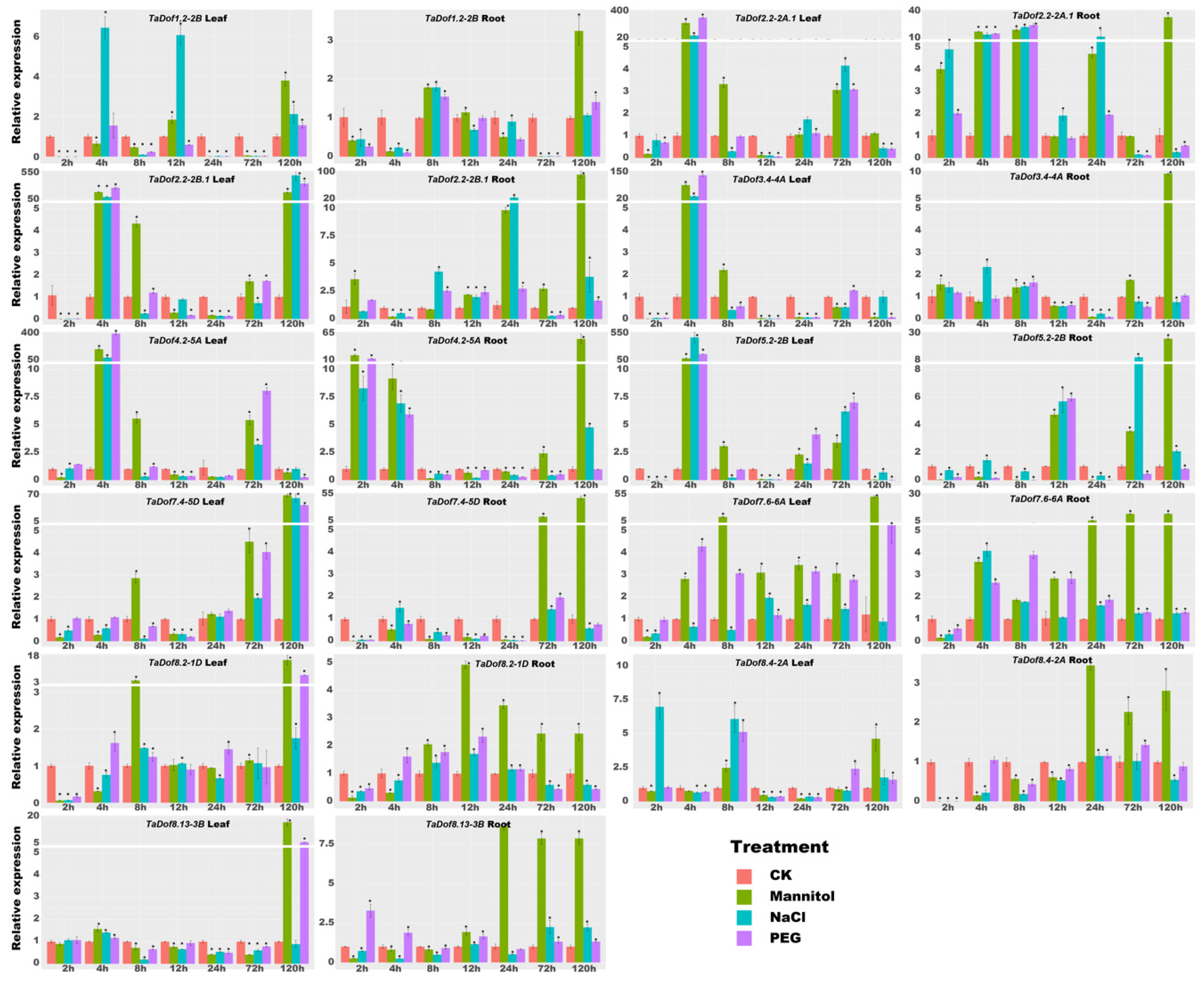 Genome-Wide Identification, Structure Characterization, and