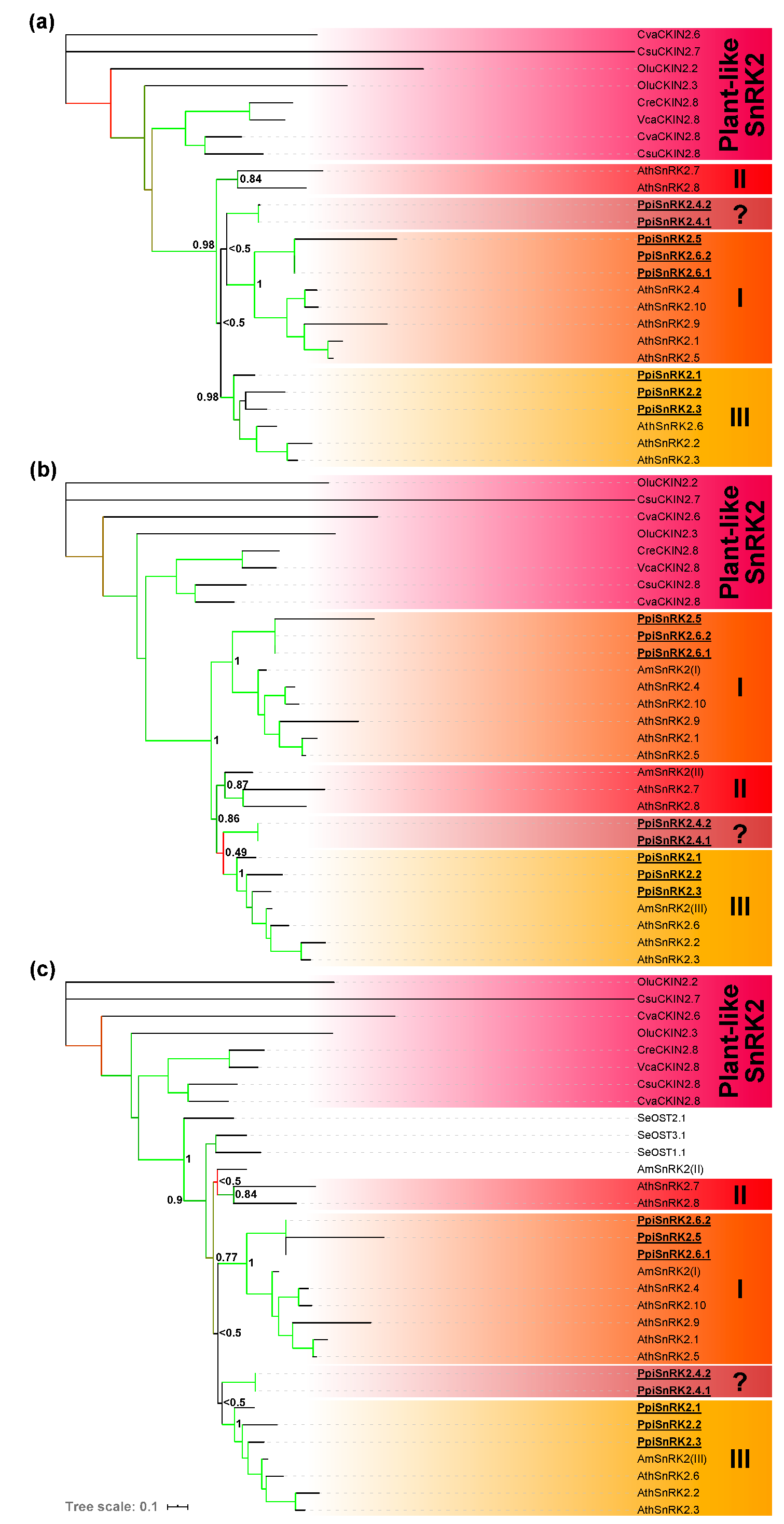 Agronomy 10 00295 g002 Agronomy 10 00295 g002