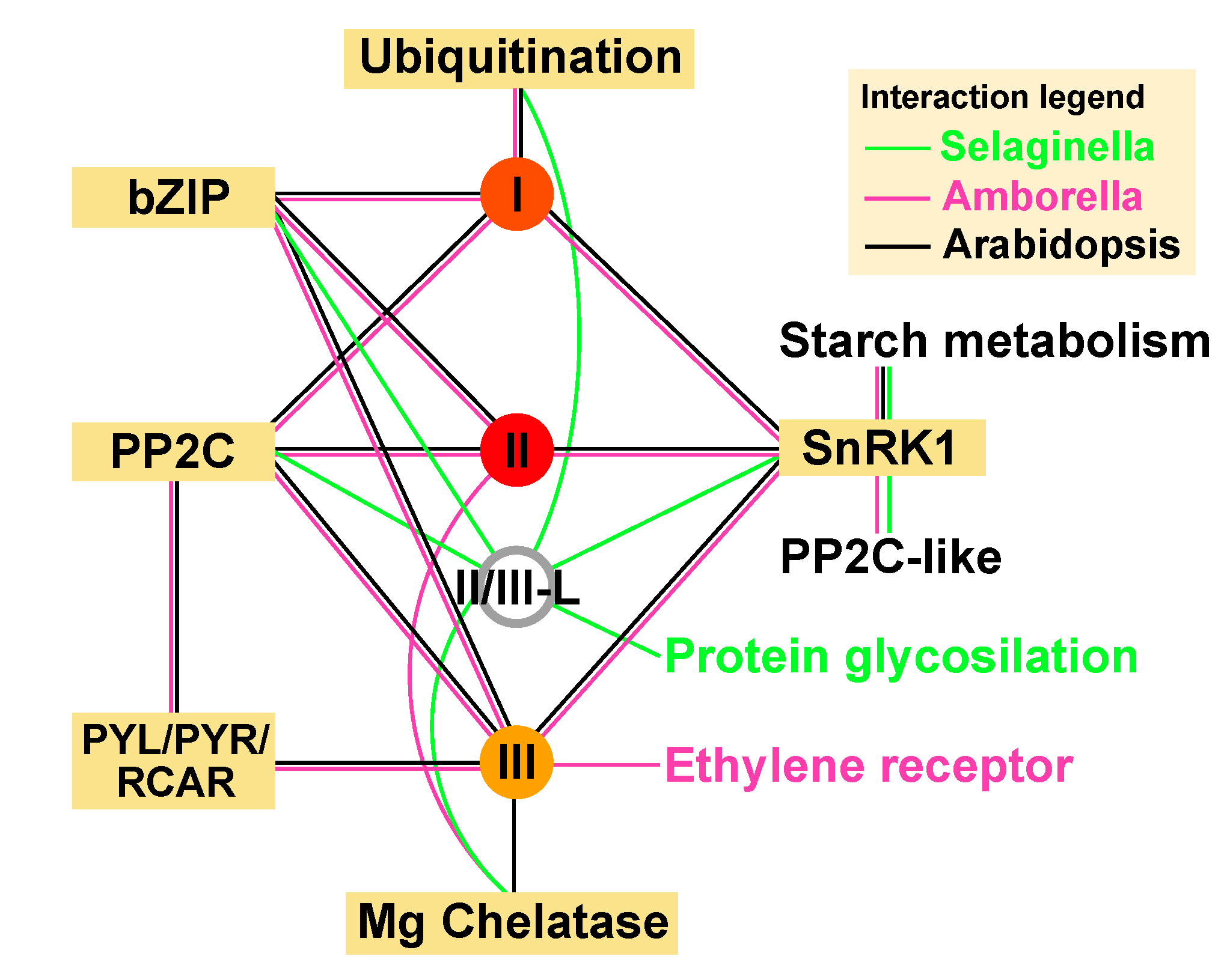 Agronomy 10 00295 g004 Agronomy 10 00295 g004