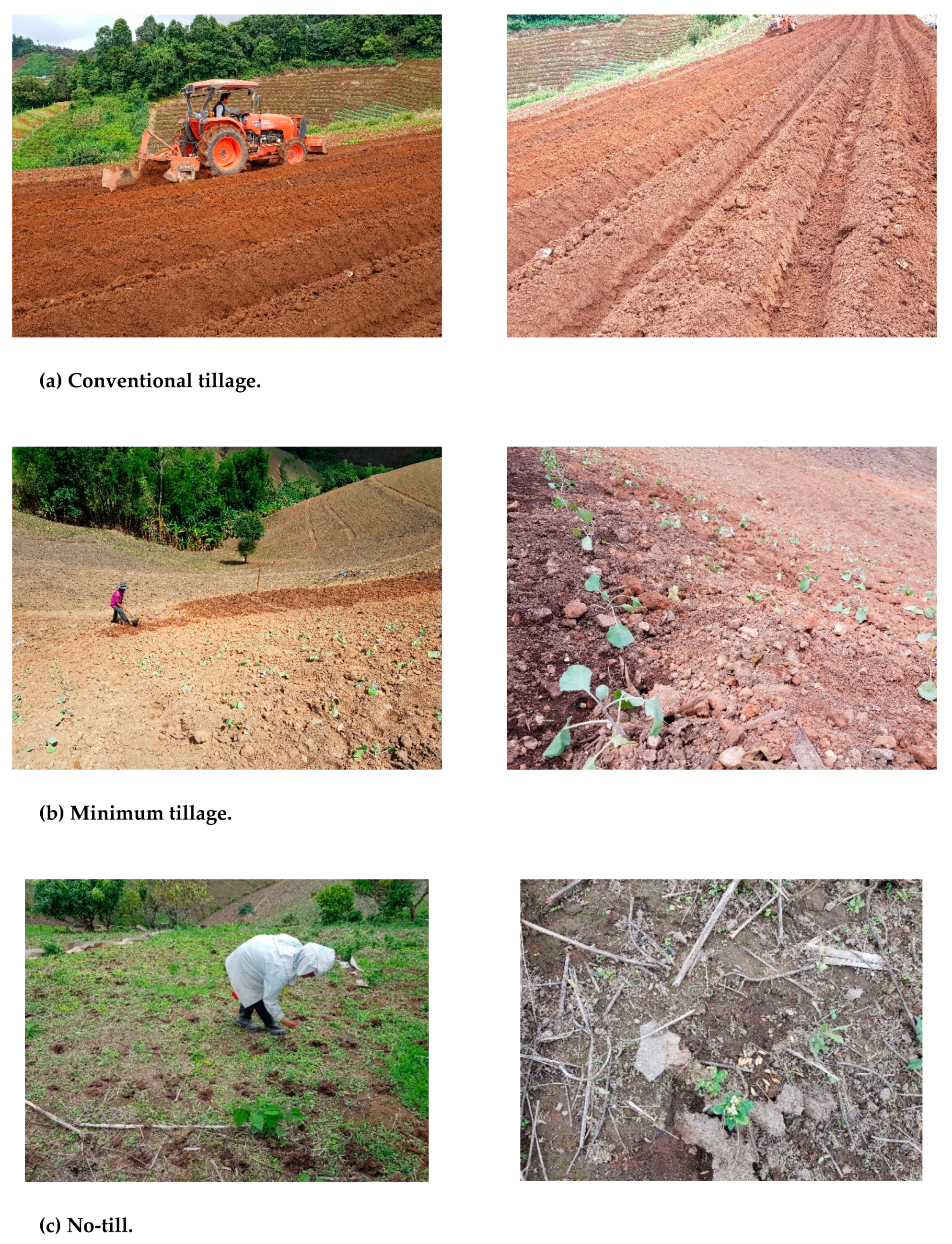 Agronomy 10 00305 g002