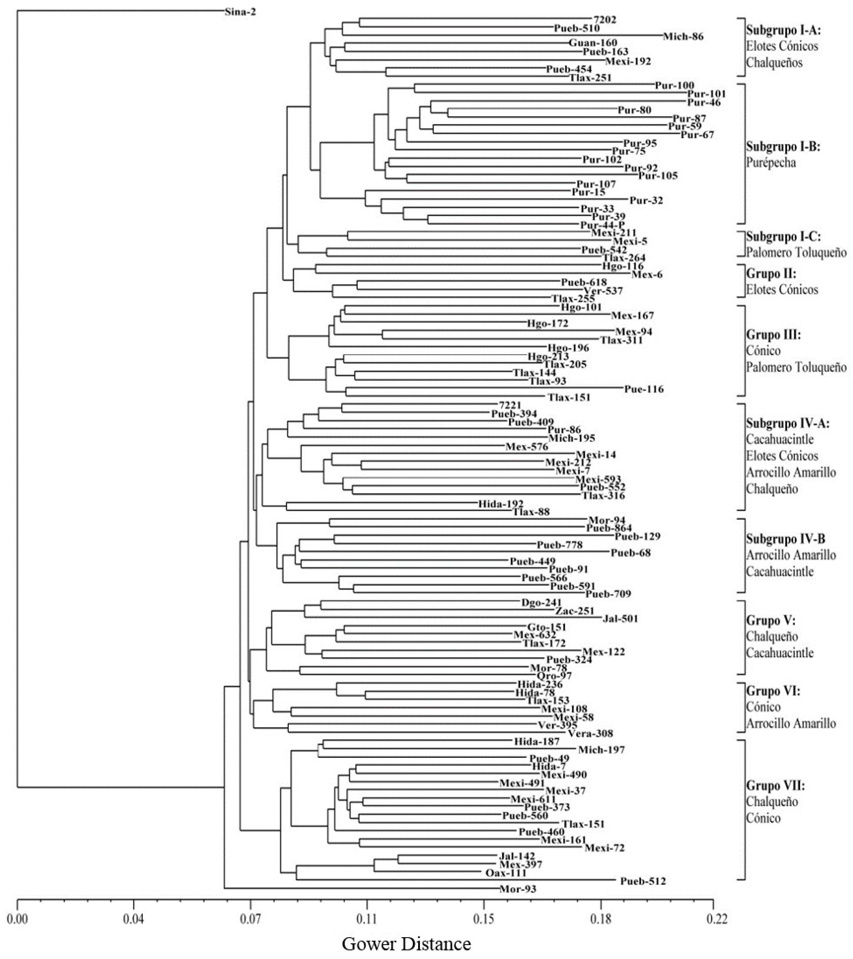 Agronomy 10 00309 g001