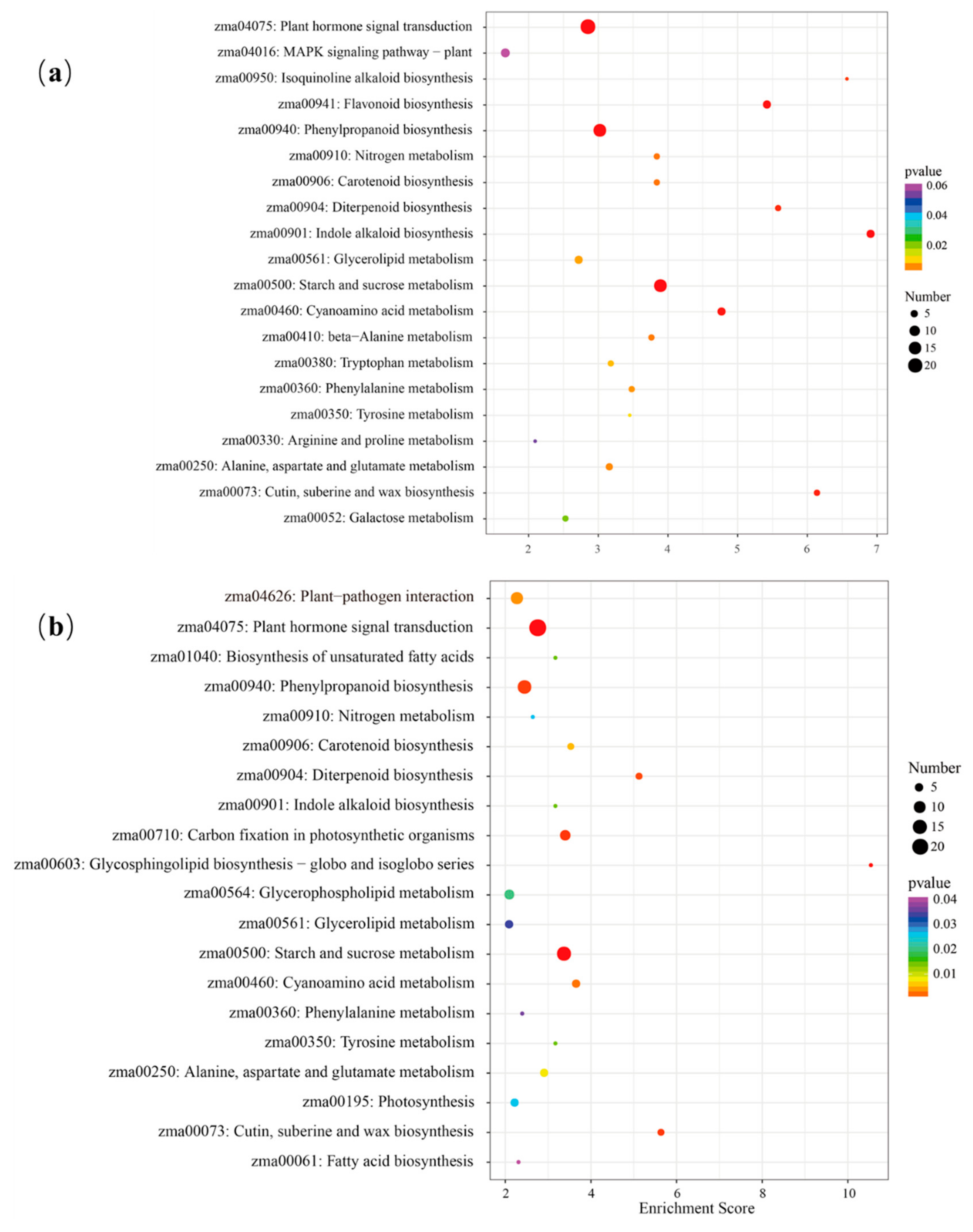 Agronomy 10 00313 g006
