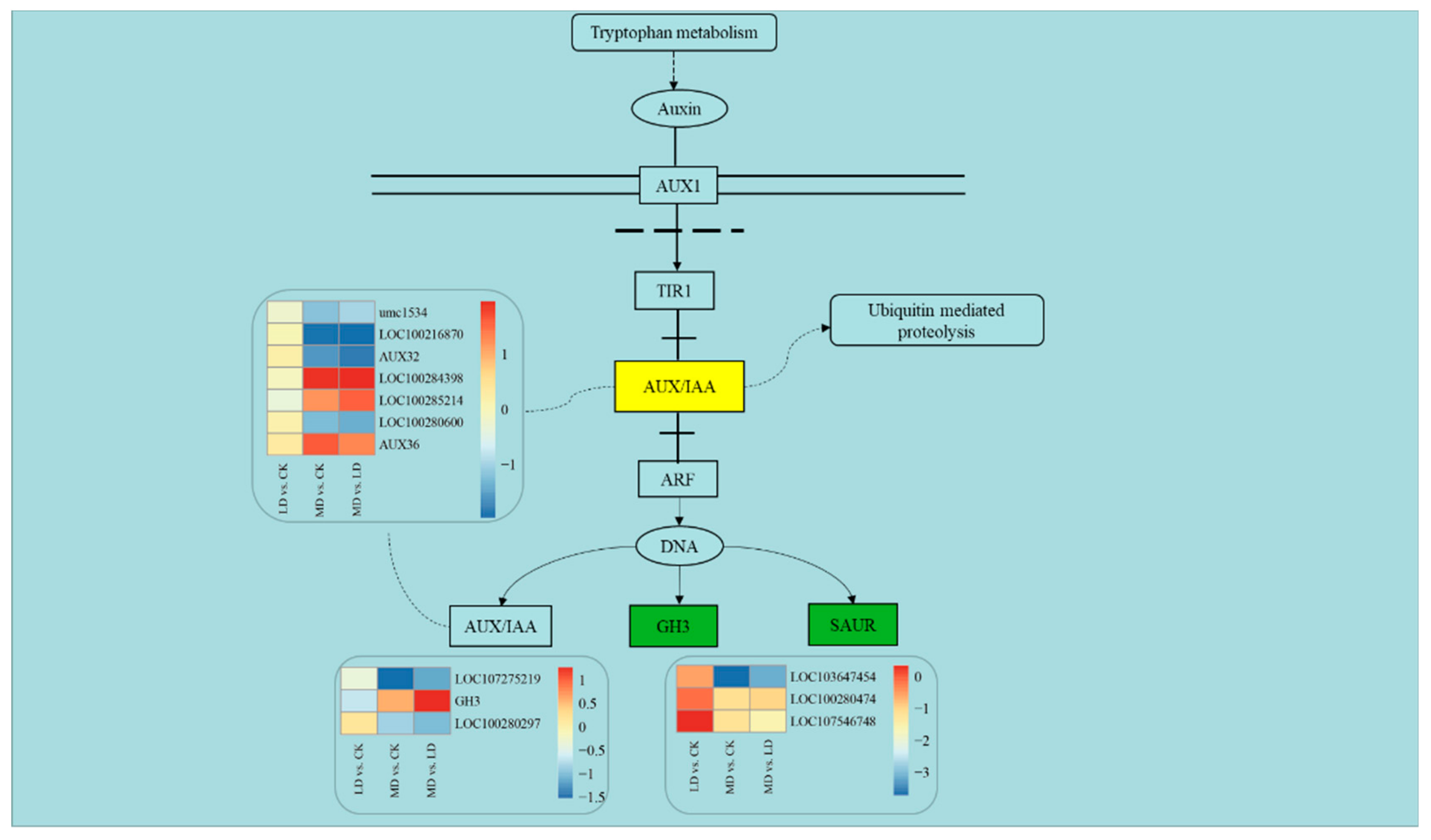 Agronomy 10 00313 g007