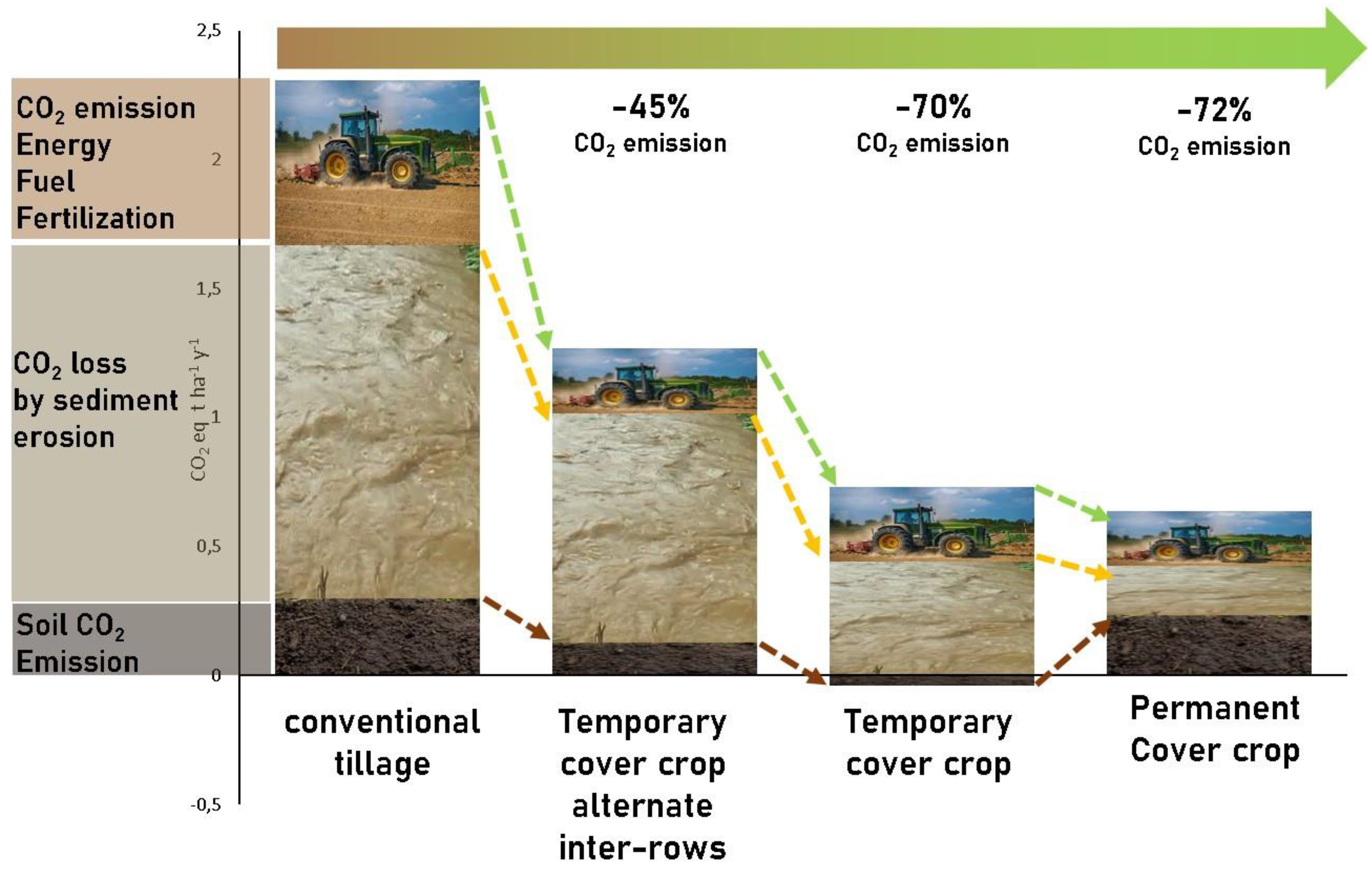 Agronomy 10 00336 g005