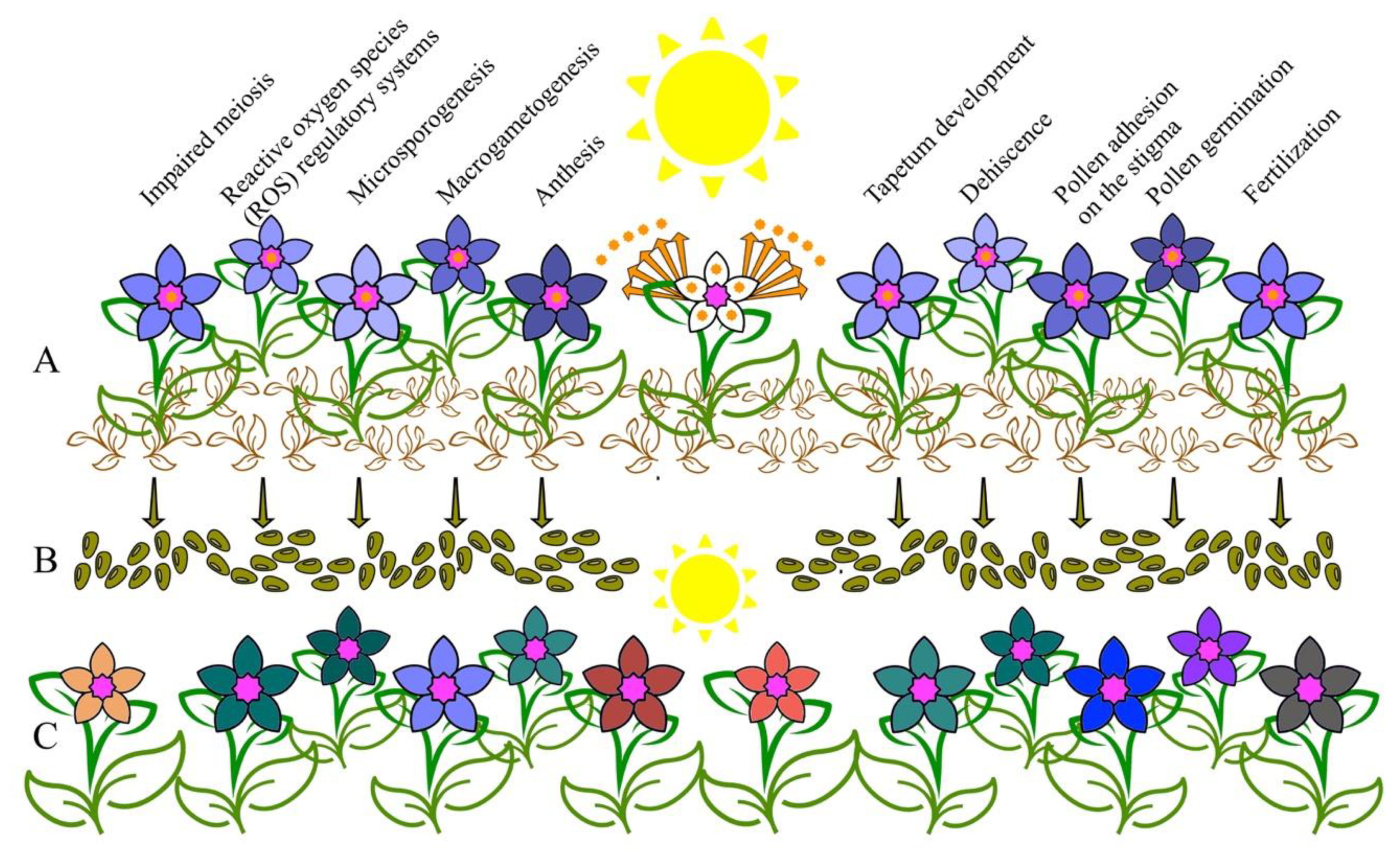 Agronomy 10 00349 g001 Agronomy 10 00349 g001
