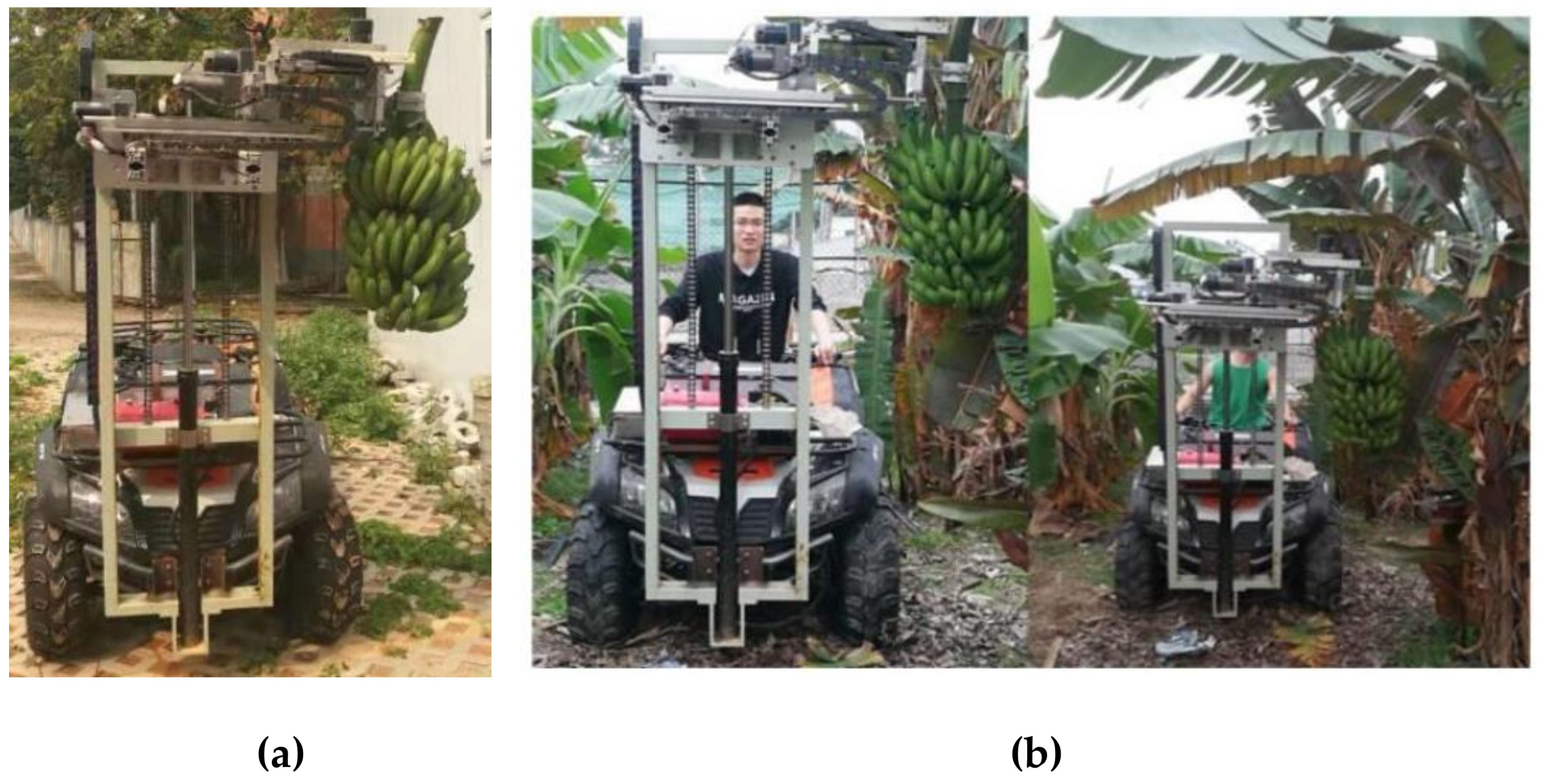 Agronomy 10 00374 g004 Agronomy 10 00374 g004