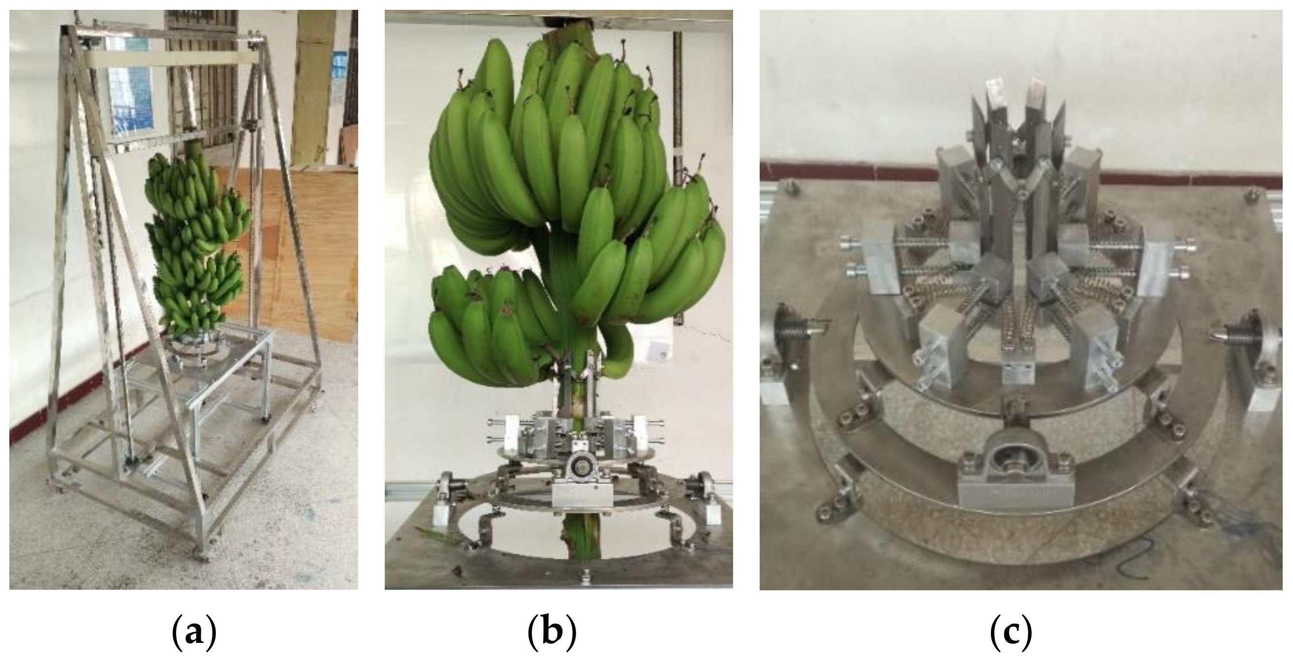 Agronomy 10 00374 g007 Agronomy 10 00374 g007
