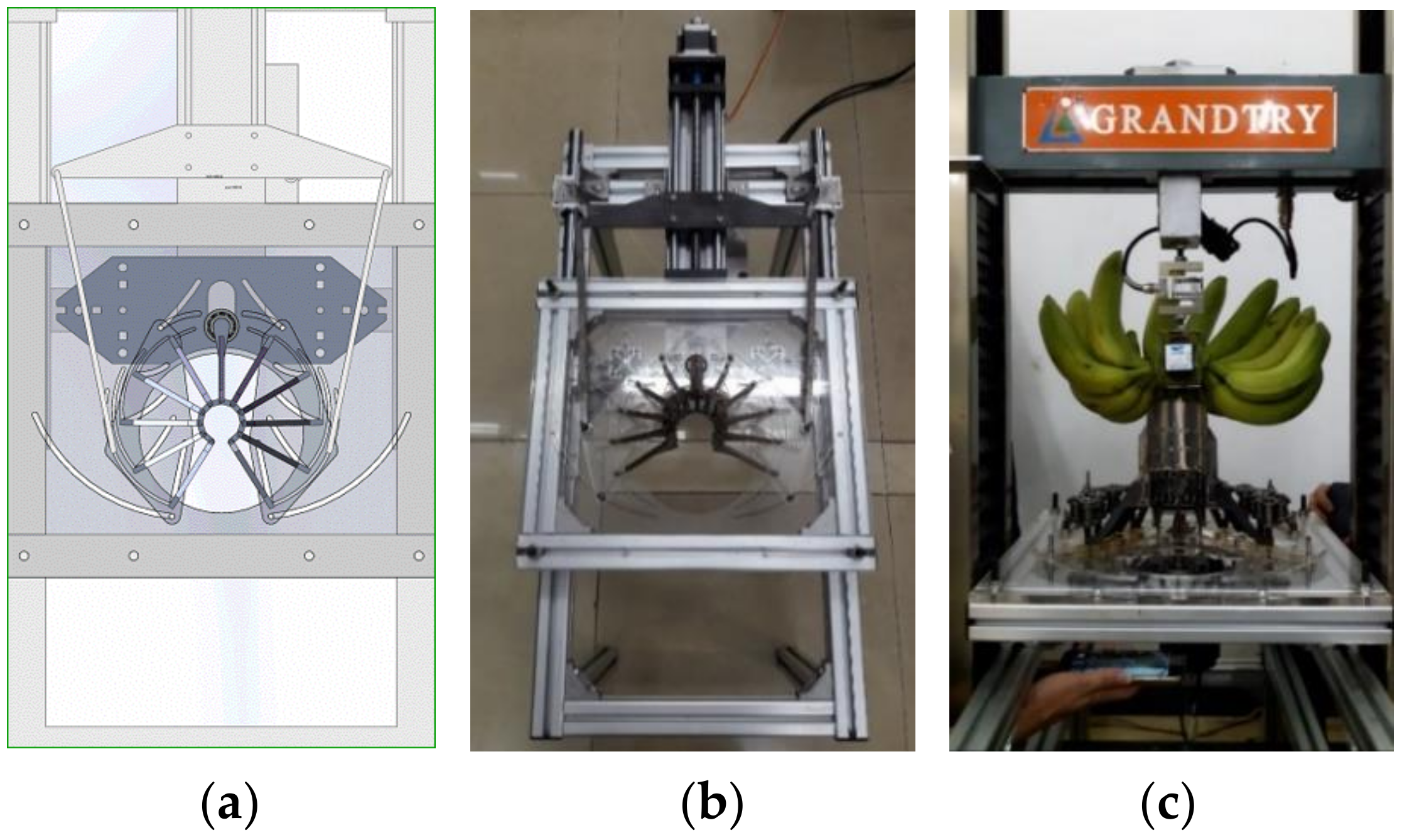 Agronomy 10 00374 g008 Agronomy 10 00374 g008