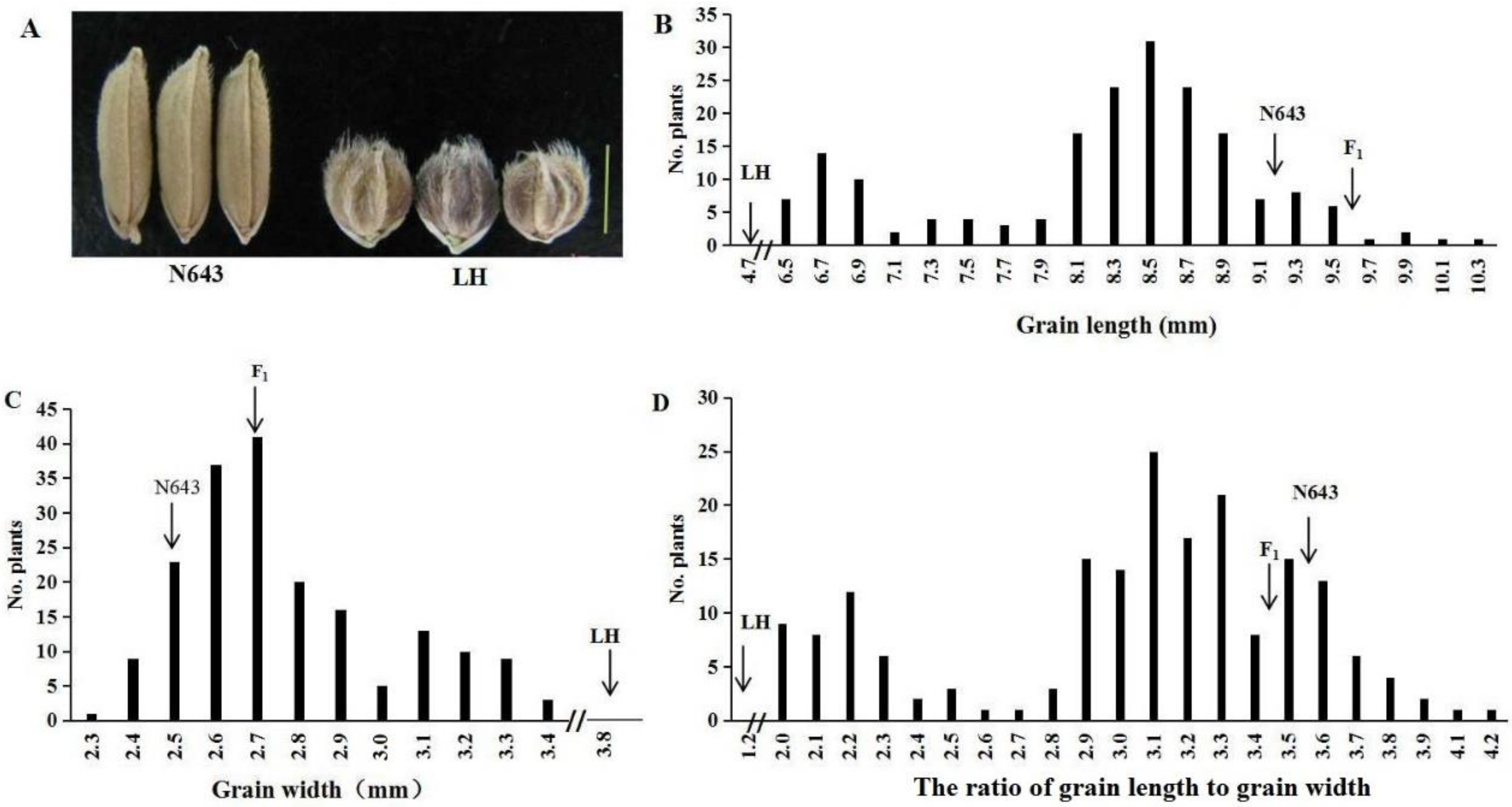Agronomy 10 00380 g002 Agronomy 10 00380 g002