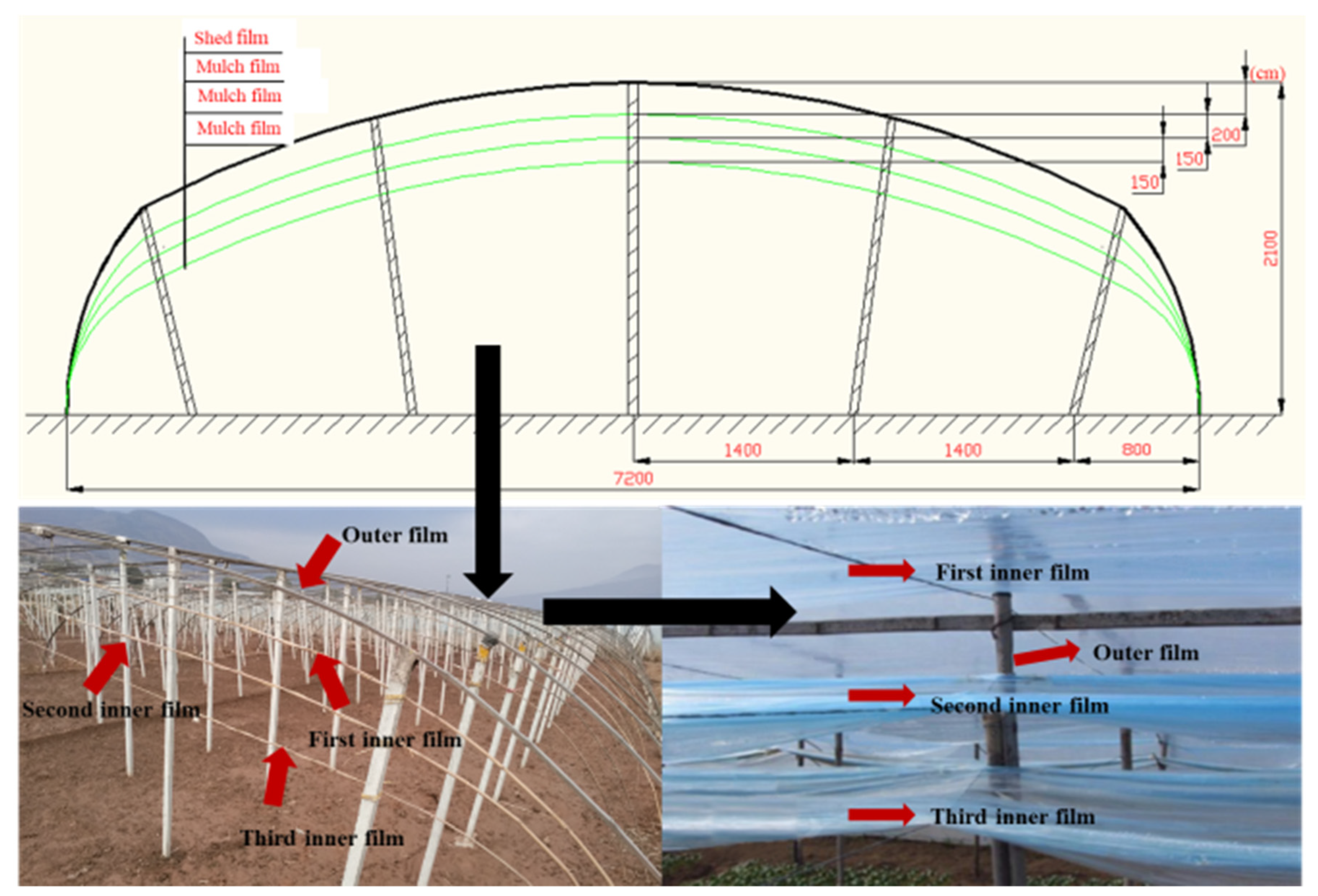Agronomy 10 00381 g001