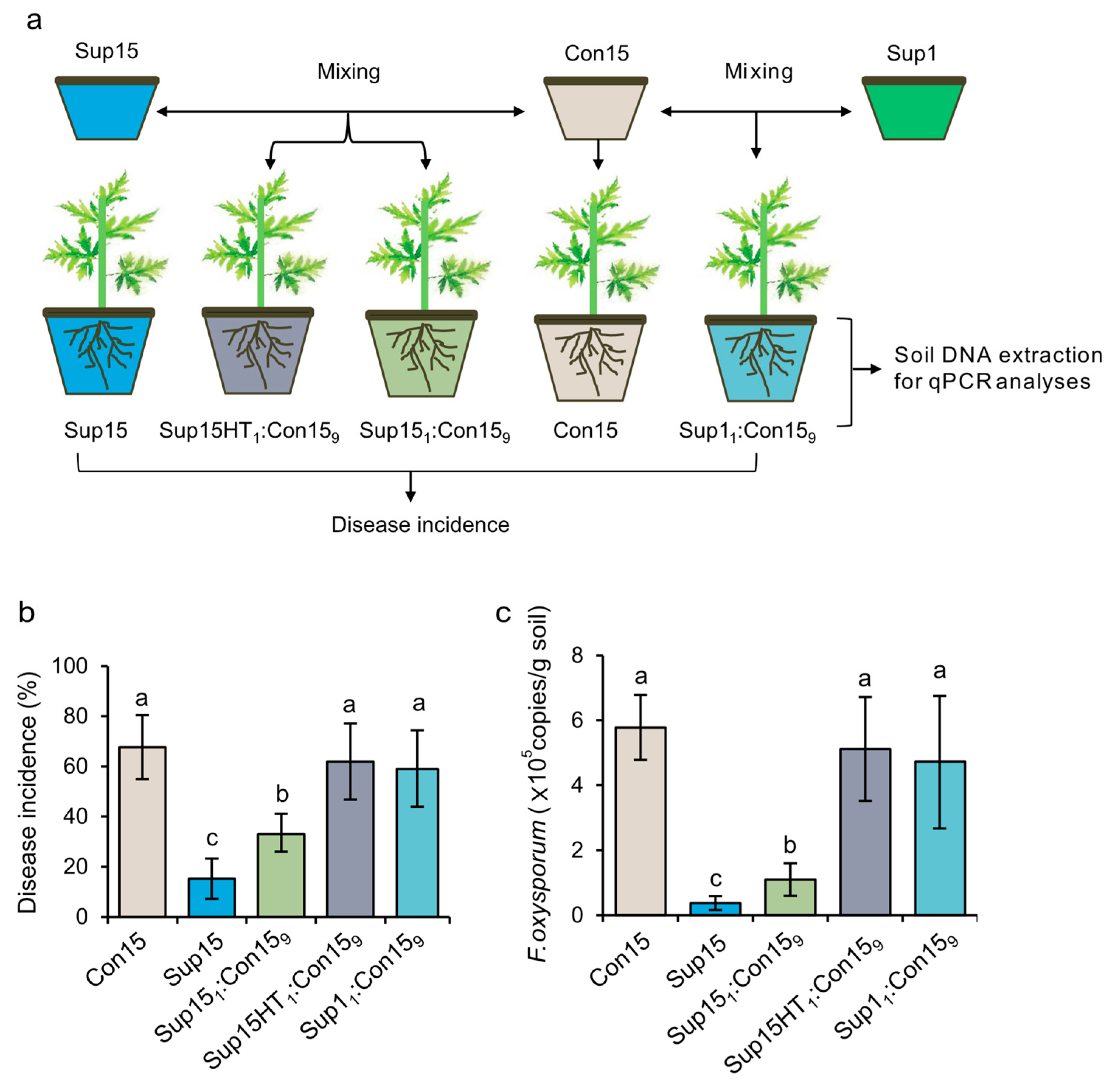 Agronomy 10 00385 g001