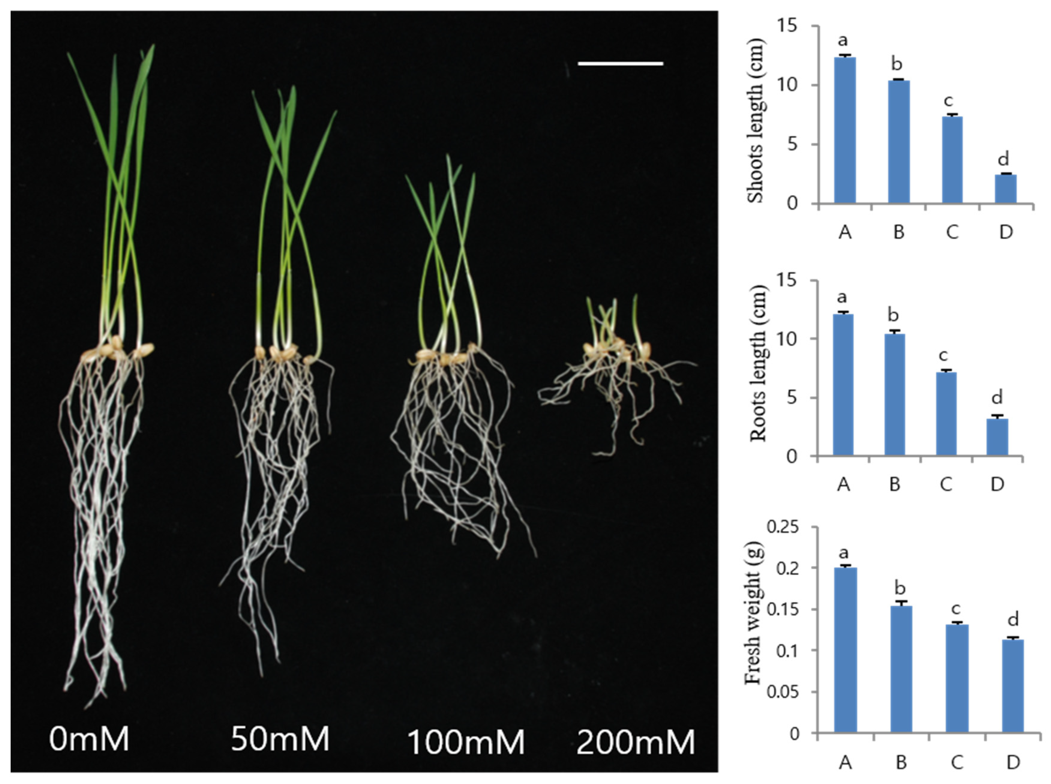 Agronomy 10 00390 g002