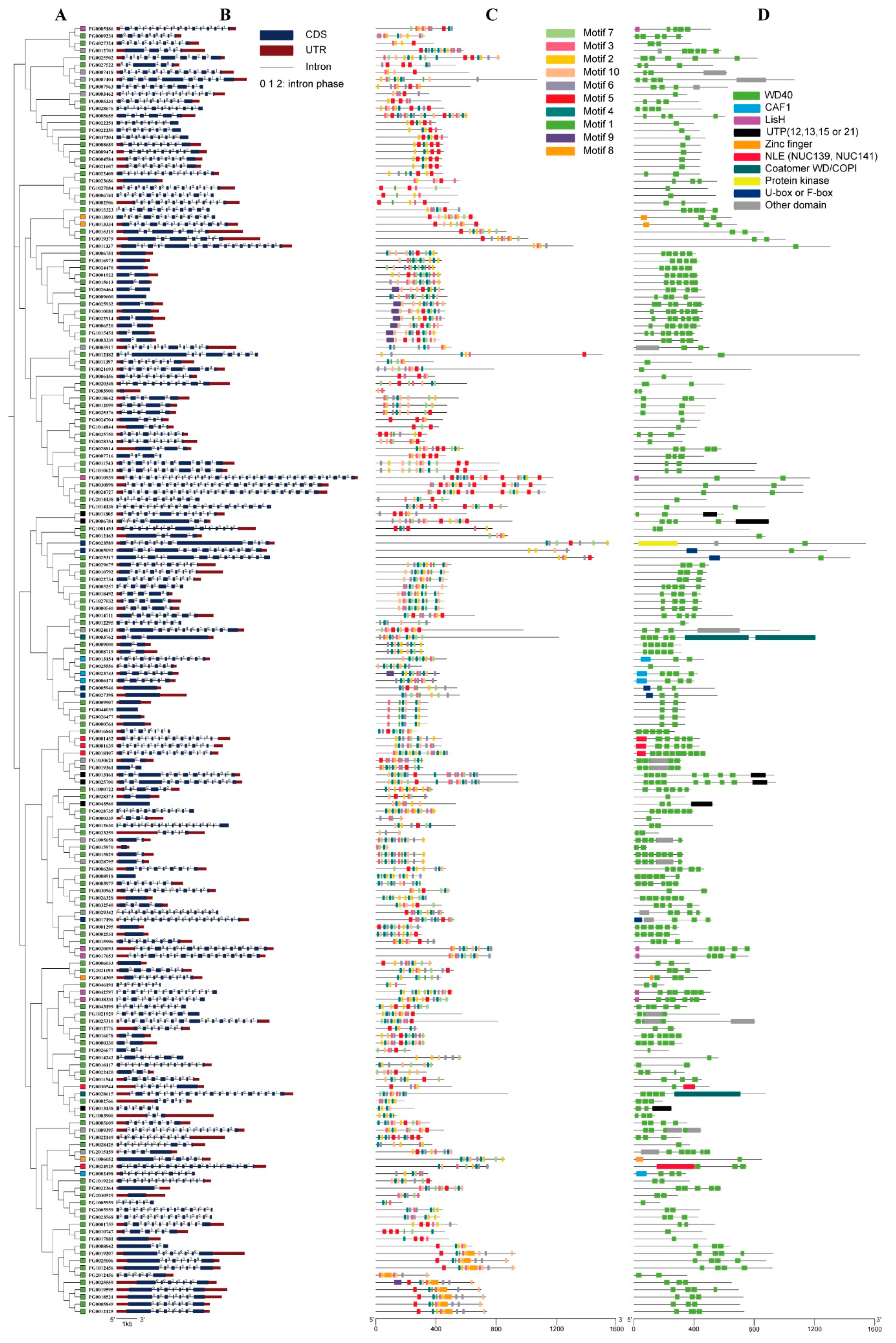 Agronomy 10 00401 g002 Agronomy 10 00401 g002