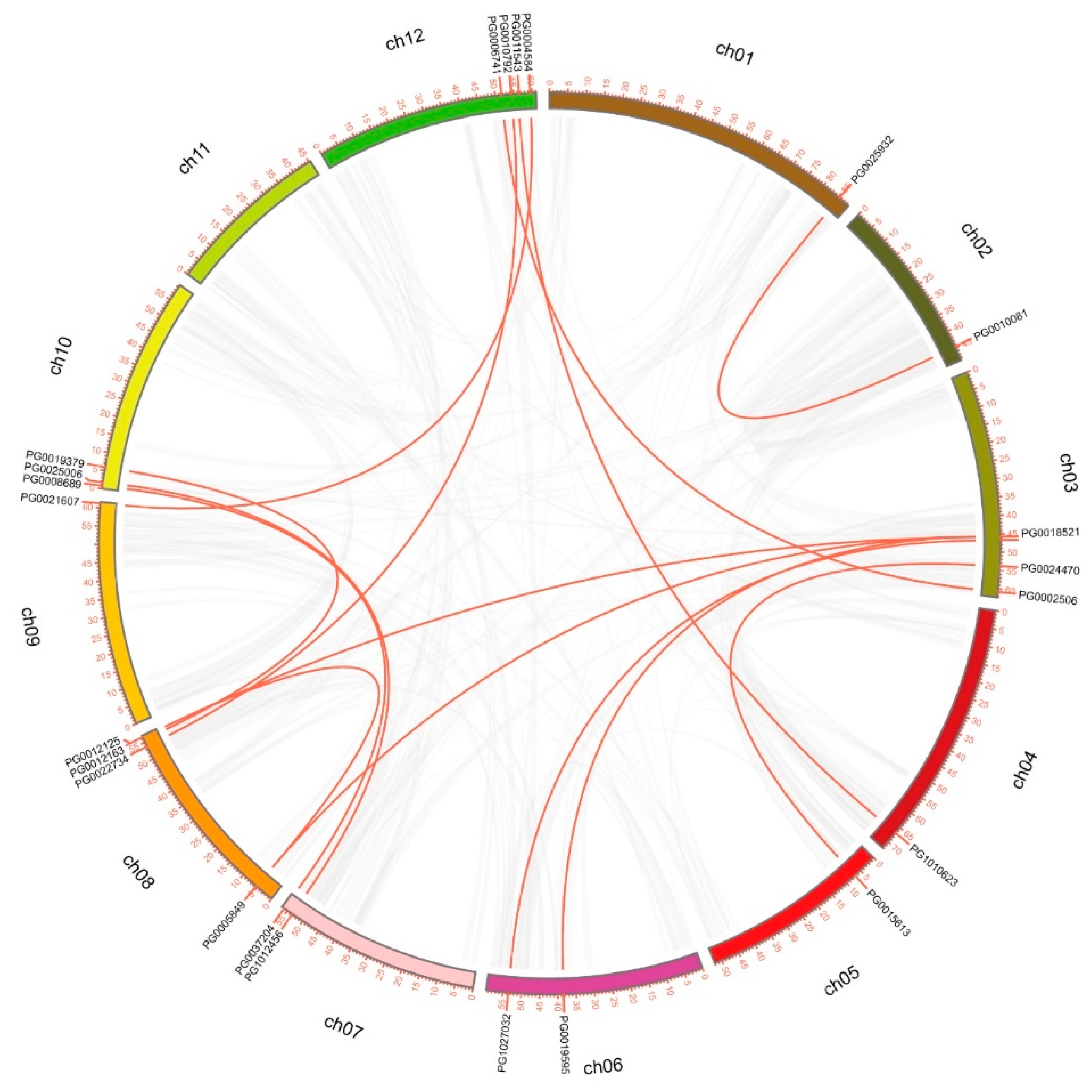Agronomy 10 00401 g003 Agronomy 10 00401 g003