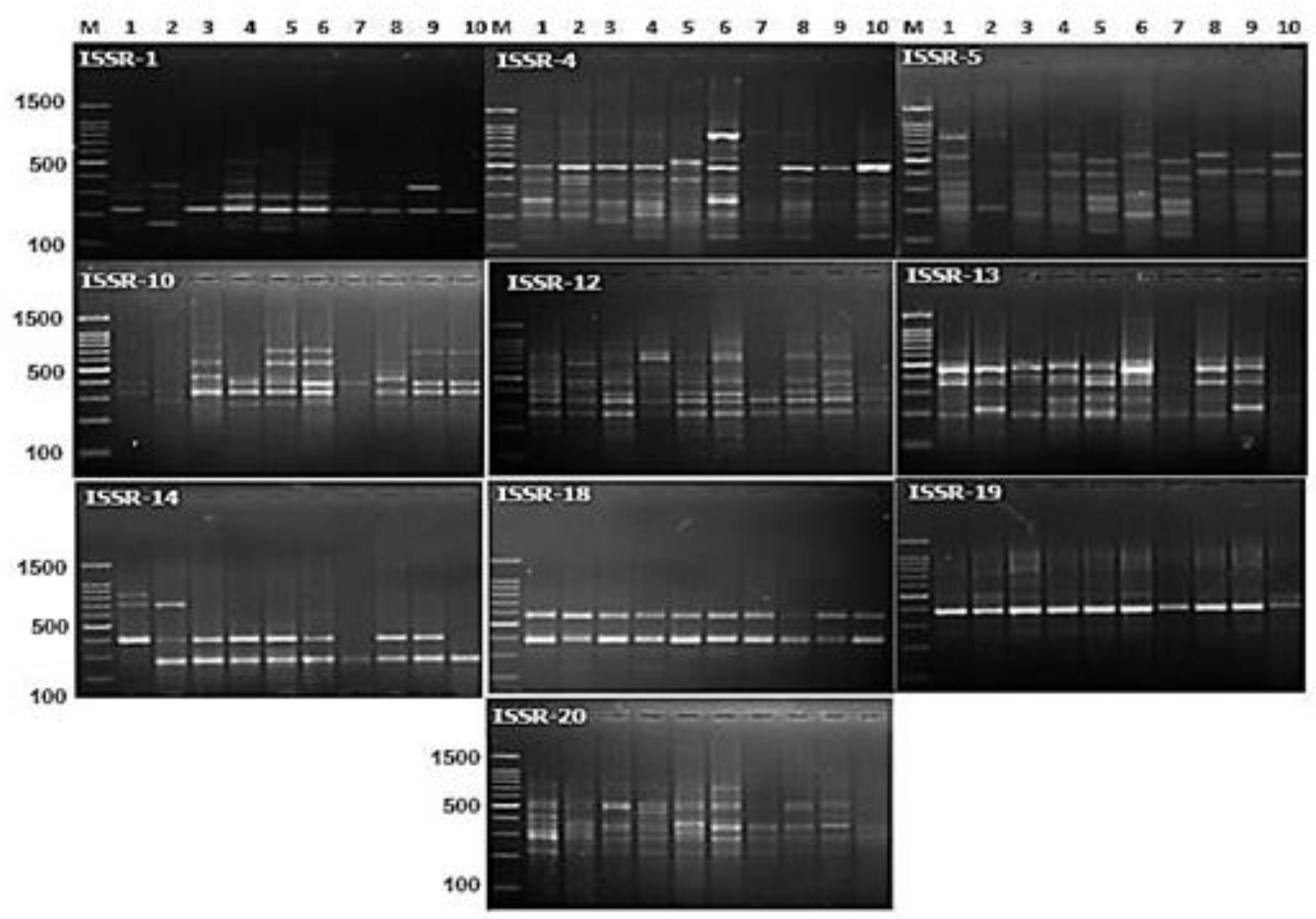 Agronomy 10 00402 g004 Agronomy 10 00402 g004
