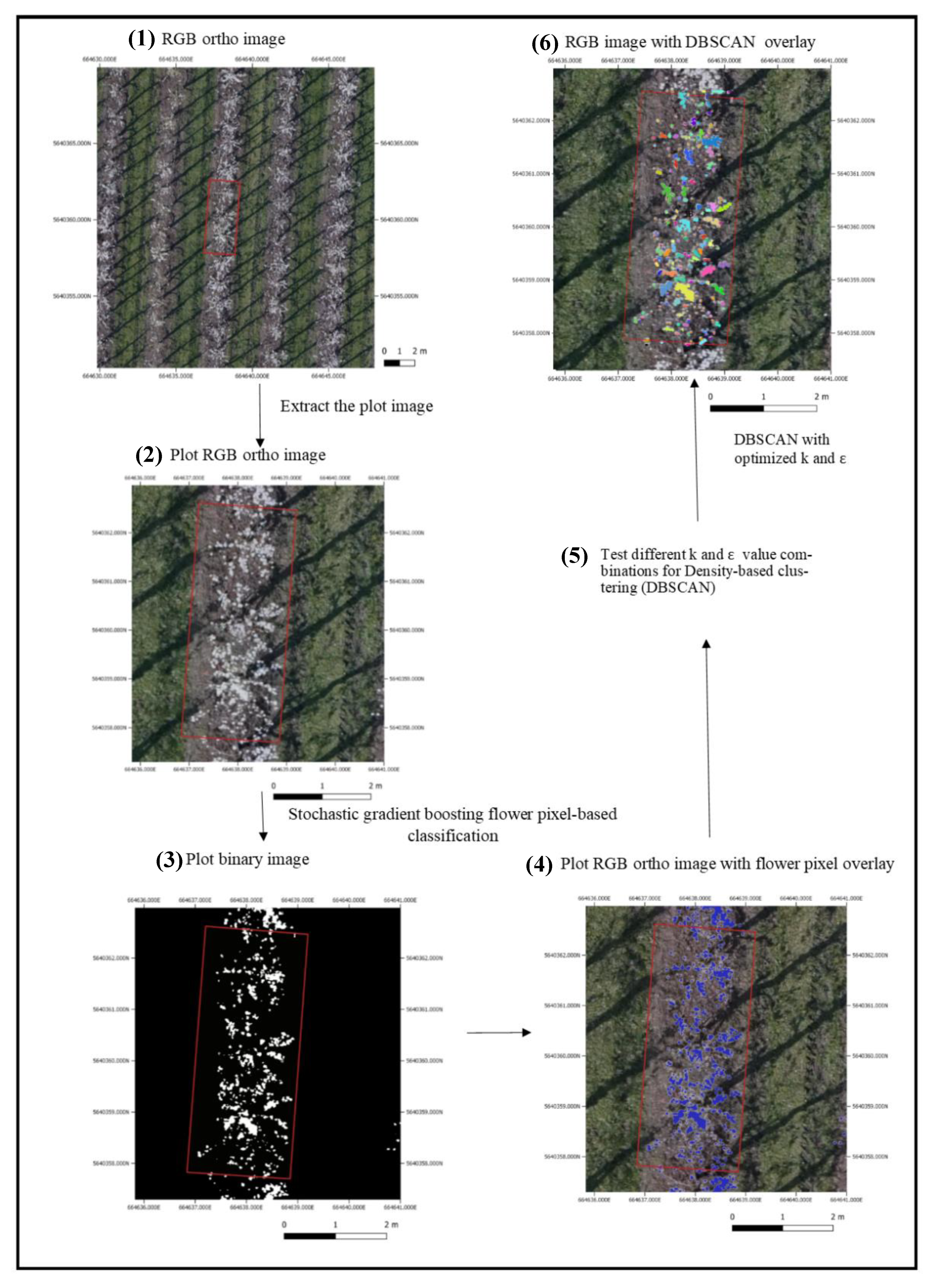 Agronomy 10 00407 g001 Agronomy 10 00407 g001