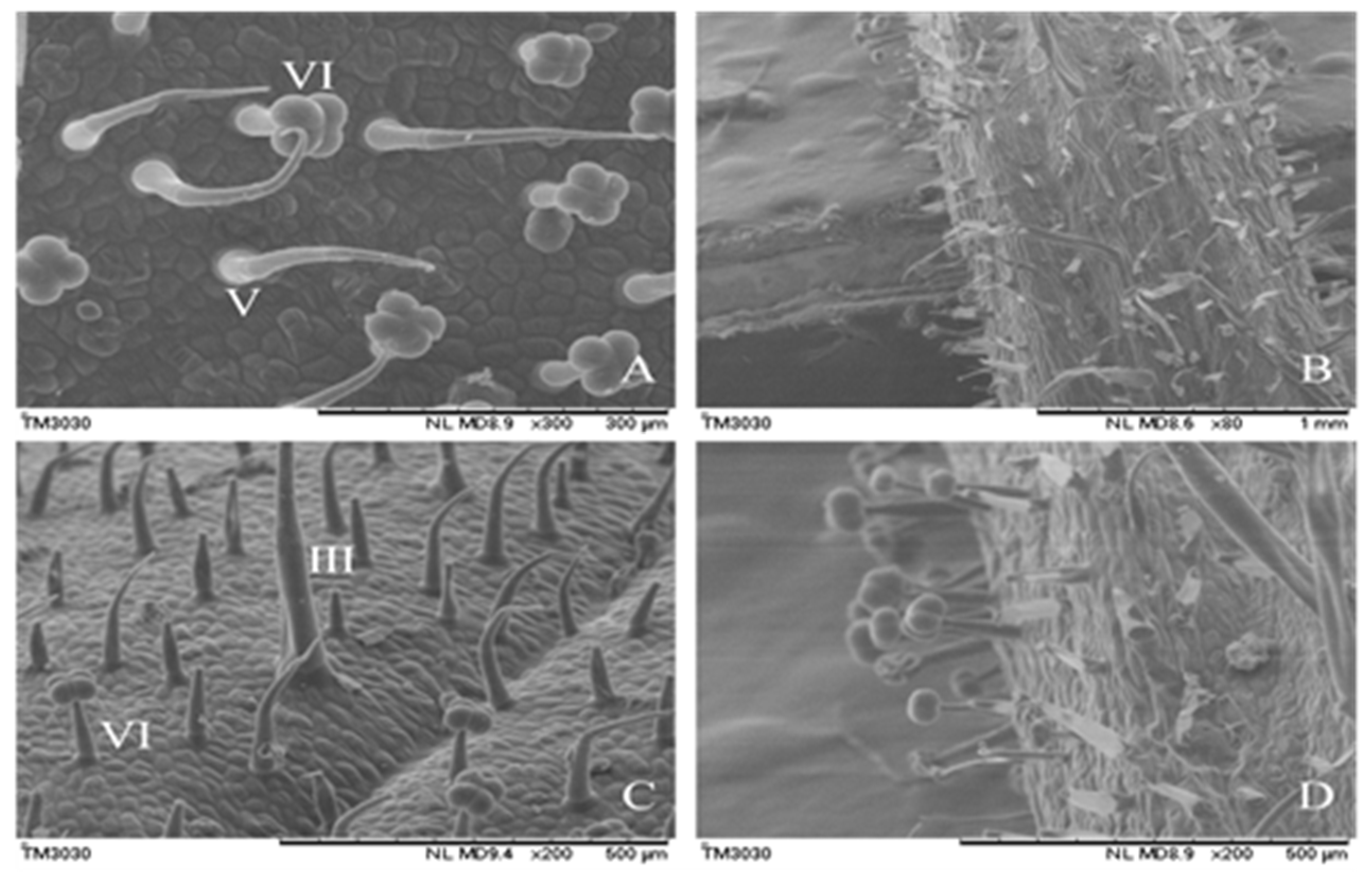 Agronomy 10 00411 g002 Agronomy 10 00411 g002