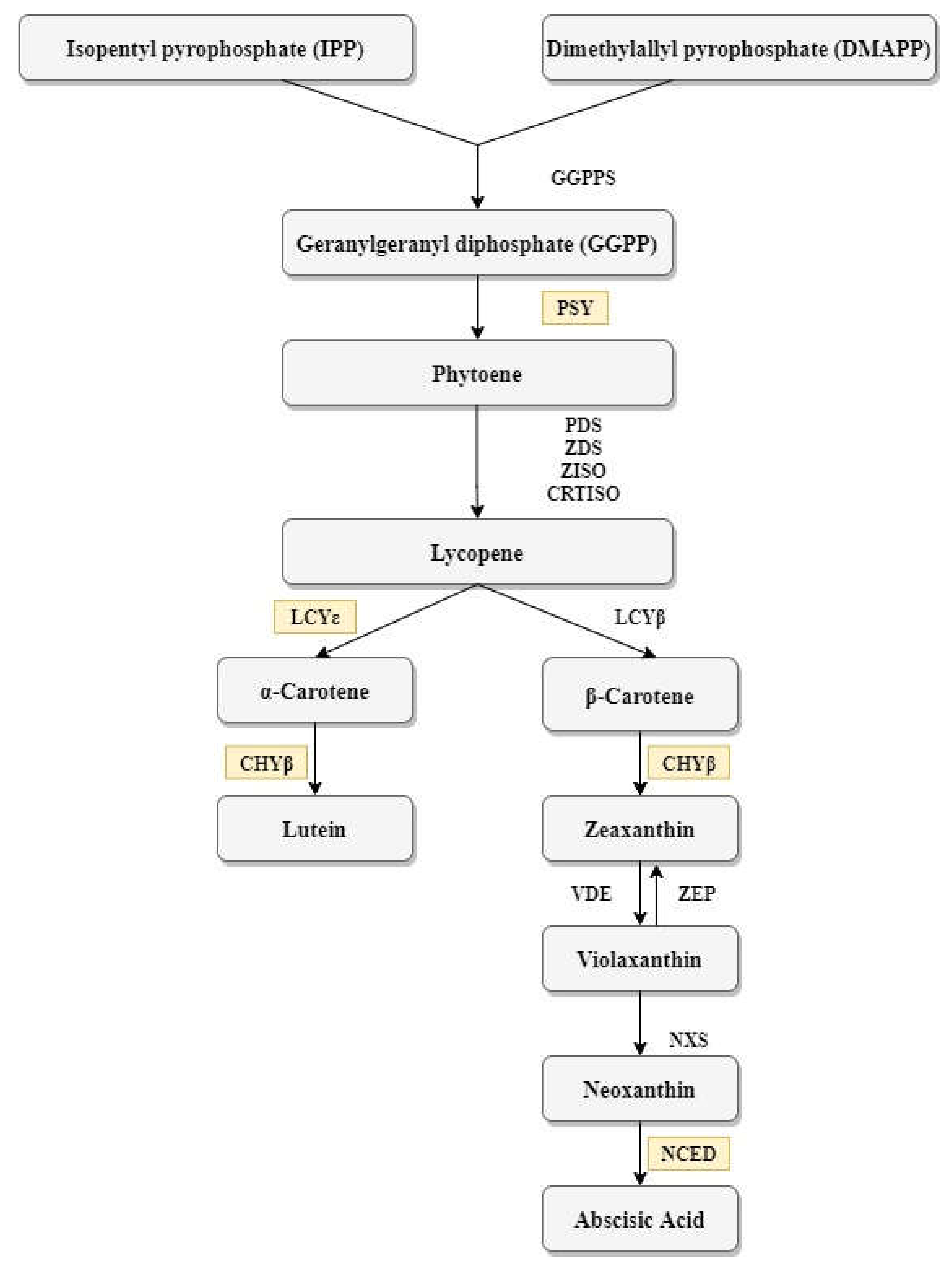 Agronomy 10 00424 g001