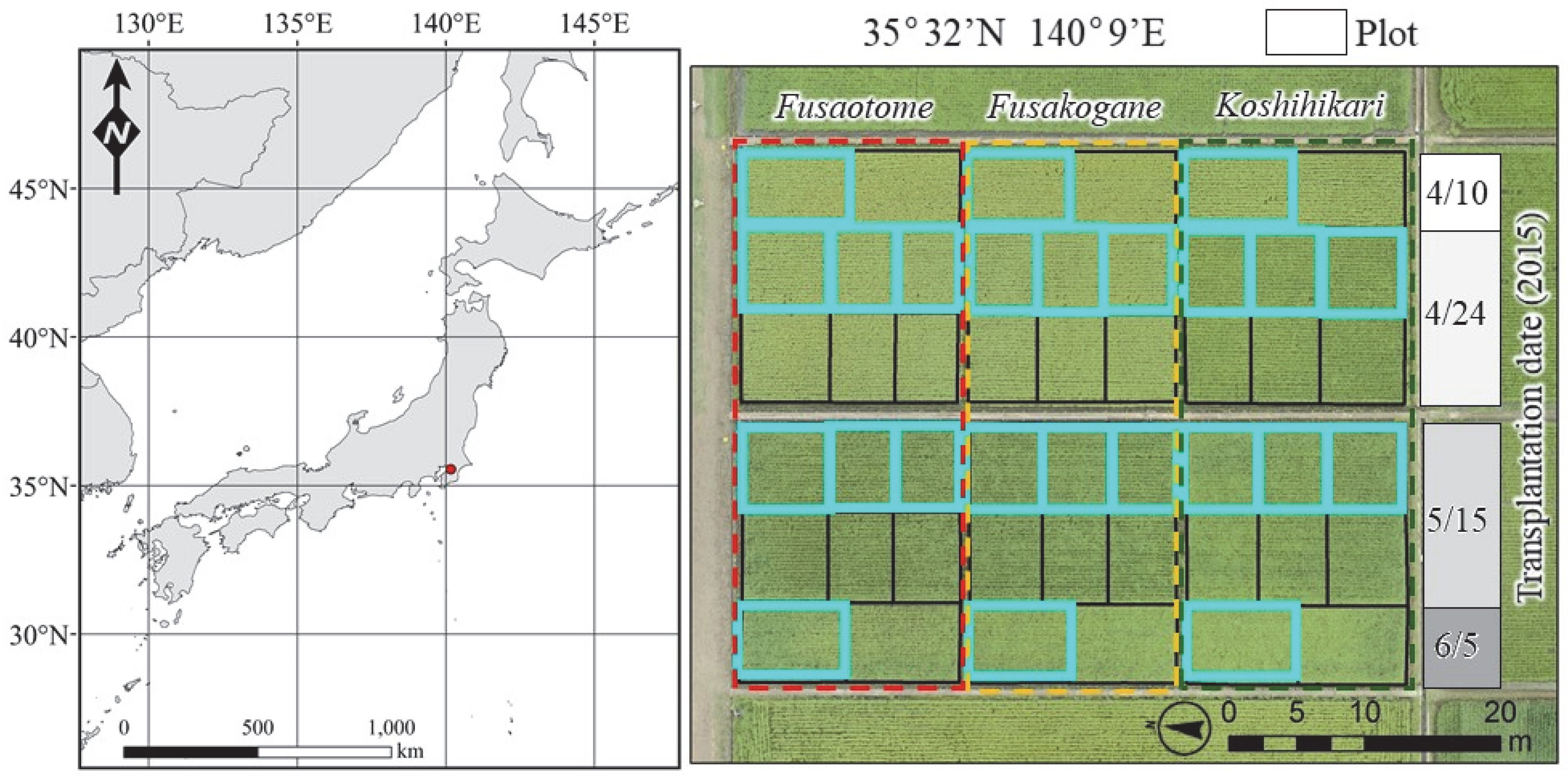 Agronomy 10 00431 g001 Agronomy 10 00431 g001