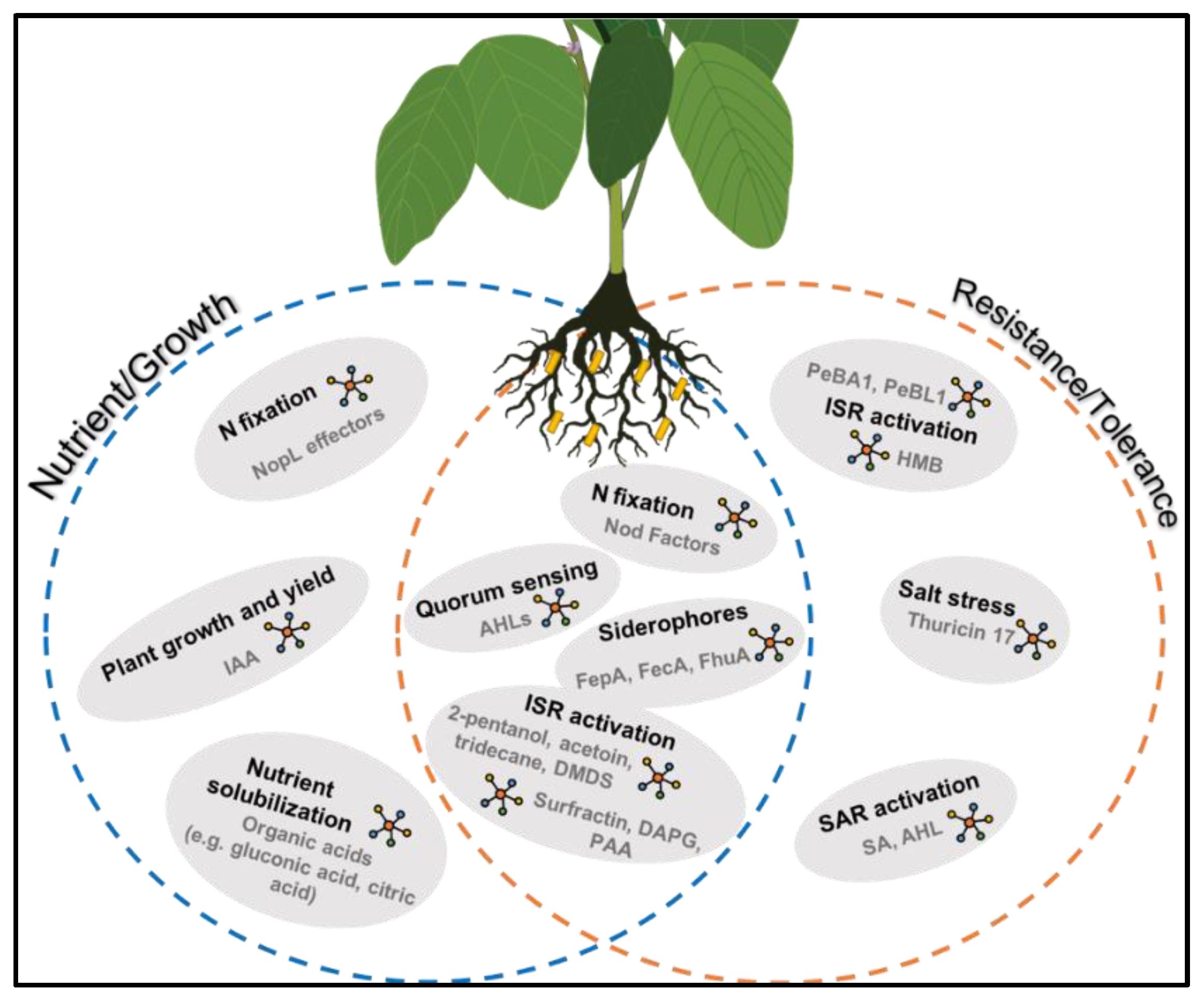 Agronomy 10 00435 g001 Agronomy 10 00435 g001
