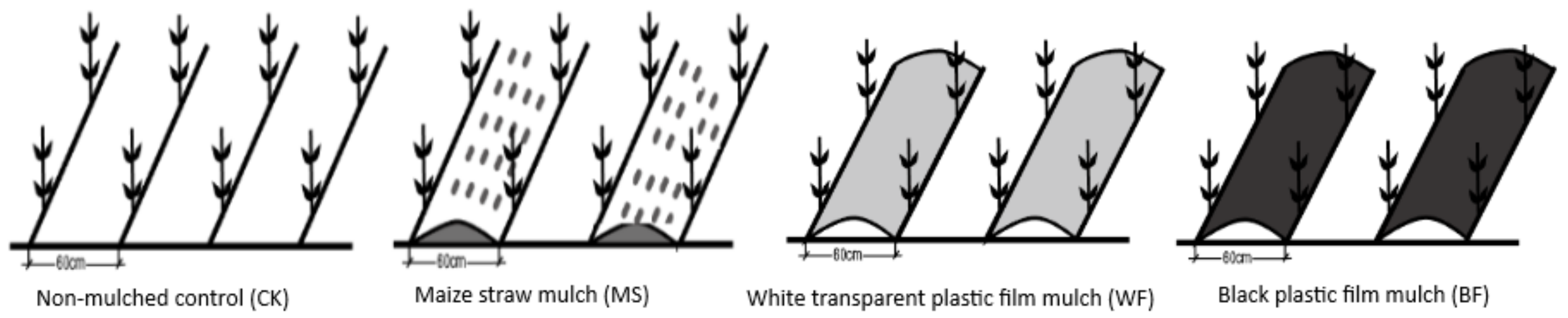 Agronomy 10 00453 g001