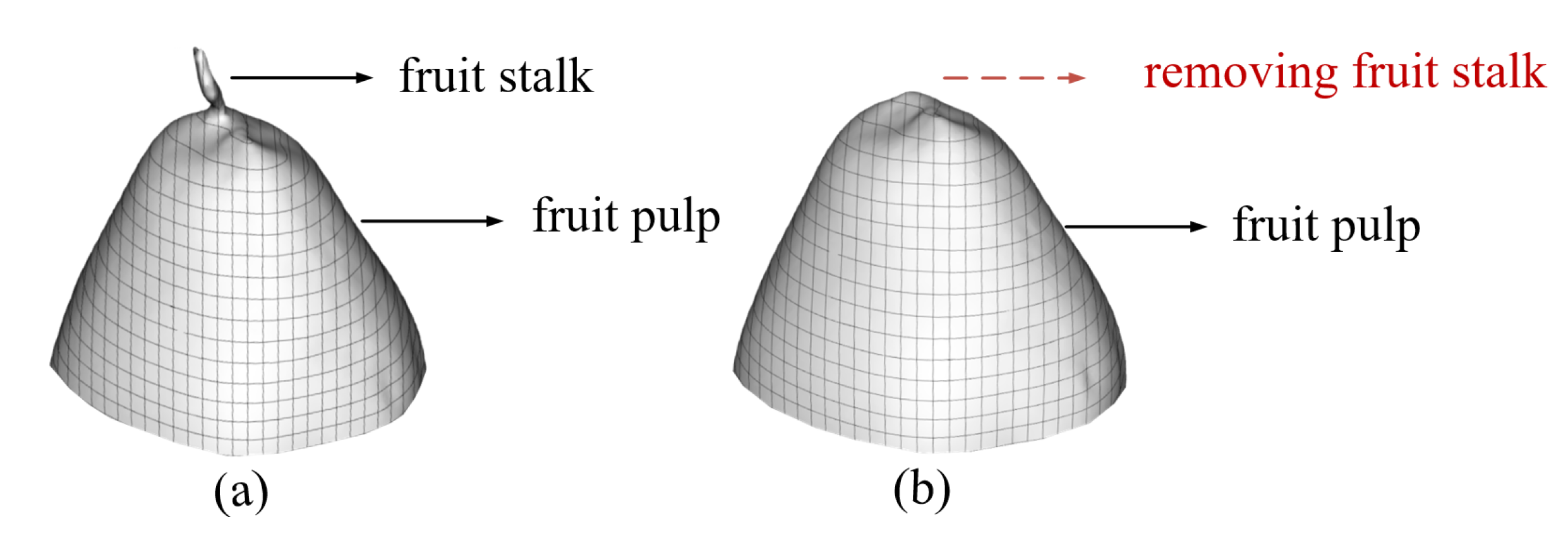 Agronomy 10 00455 g005 Agronomy 10 00455 g005