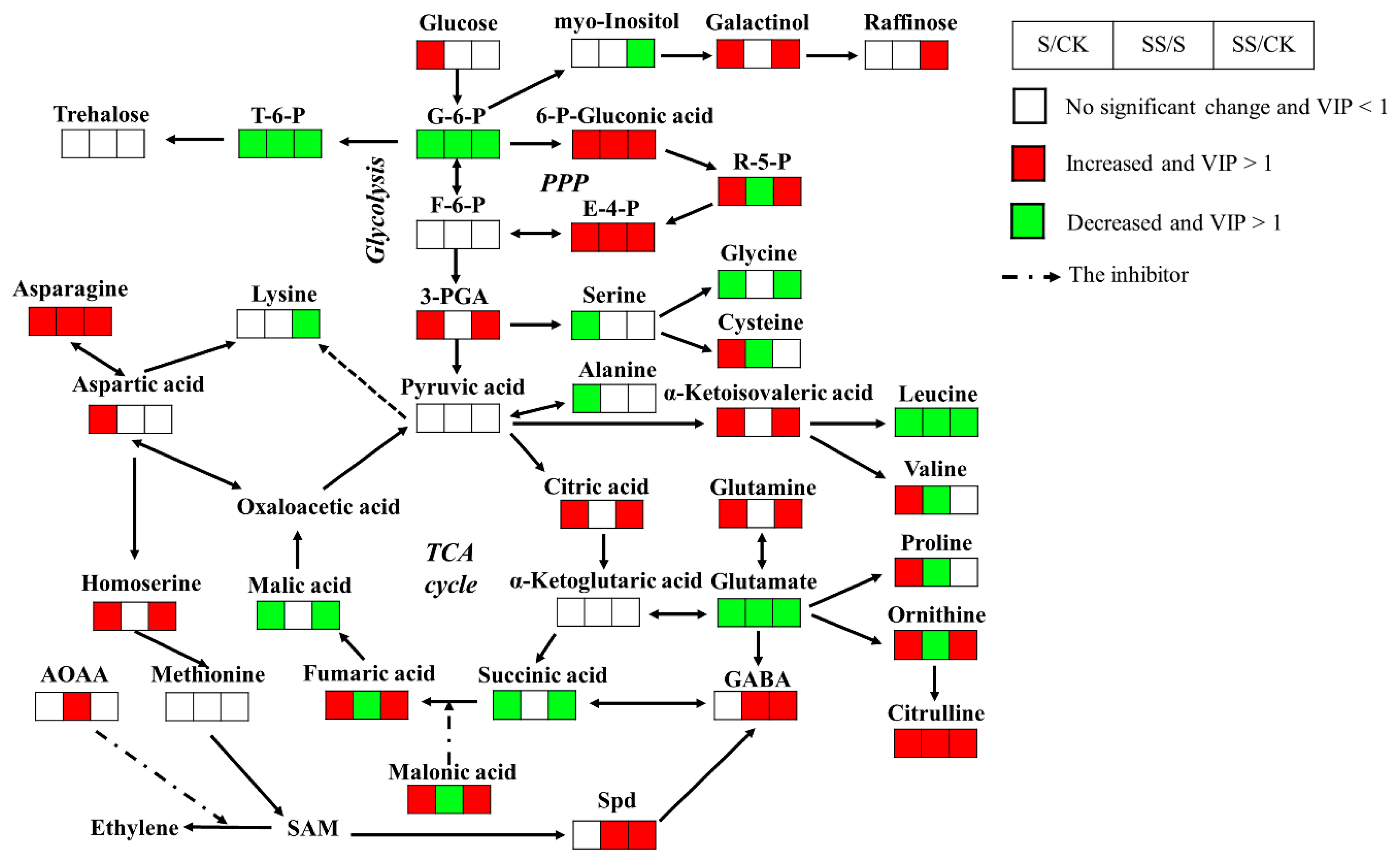 Agronomy 10 00459 g004 Agronomy 10 00459 g004