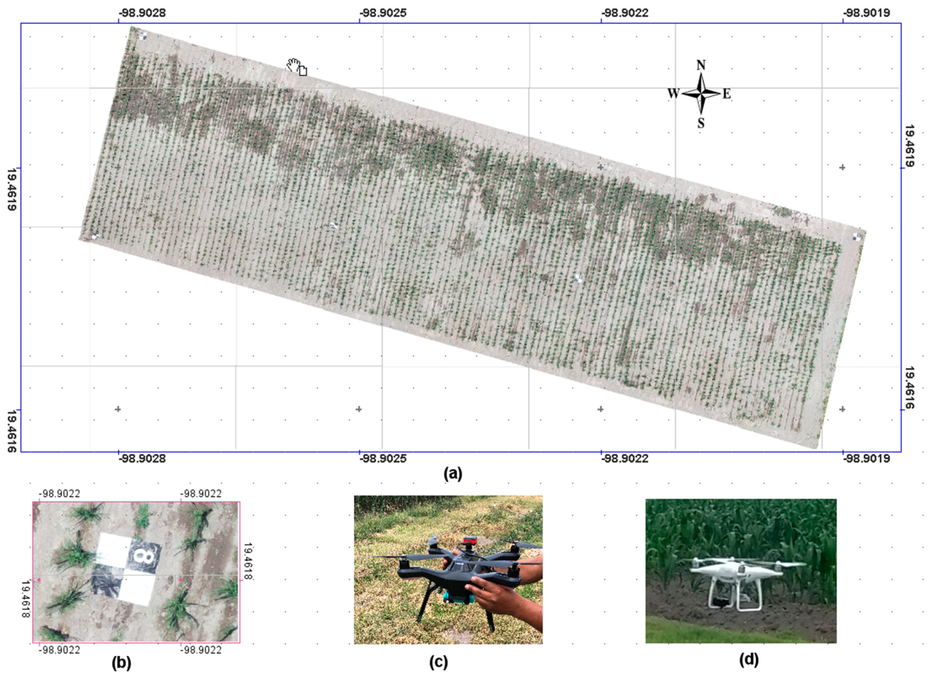 Agronomy 10 00469 g001 Agronomy 10 00469 g001